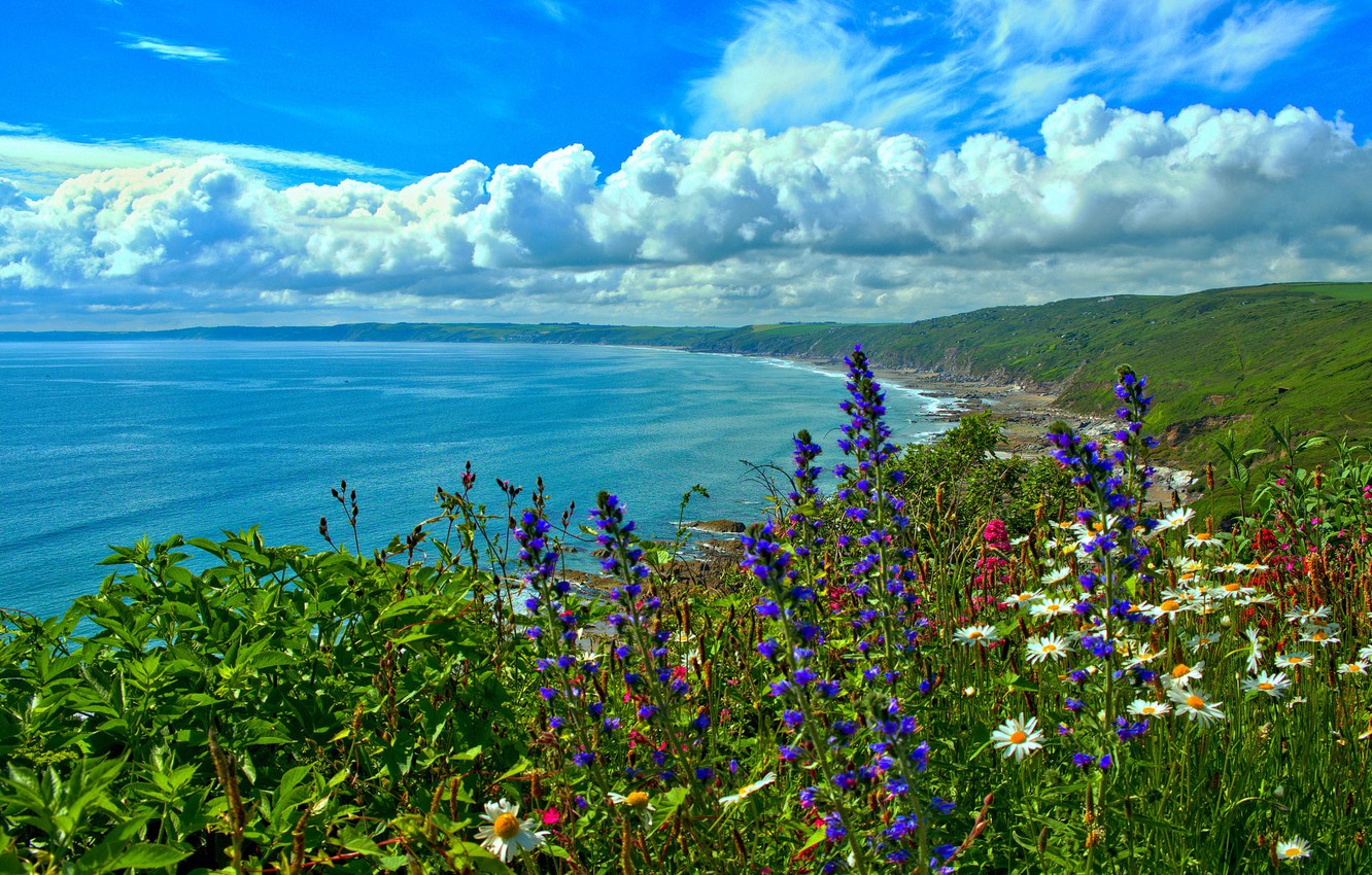 Cornish Landscape Wallpapers