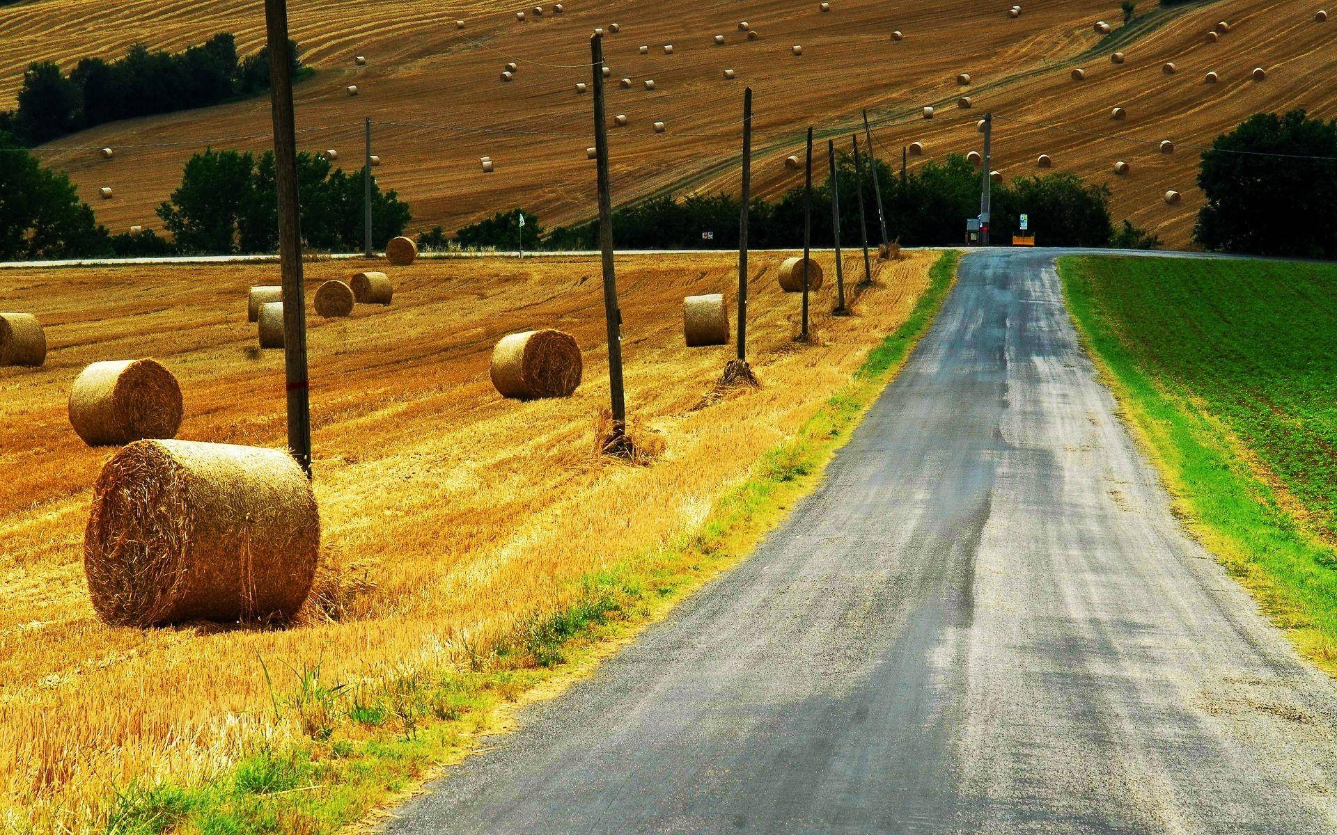 Country Road Wallpapers