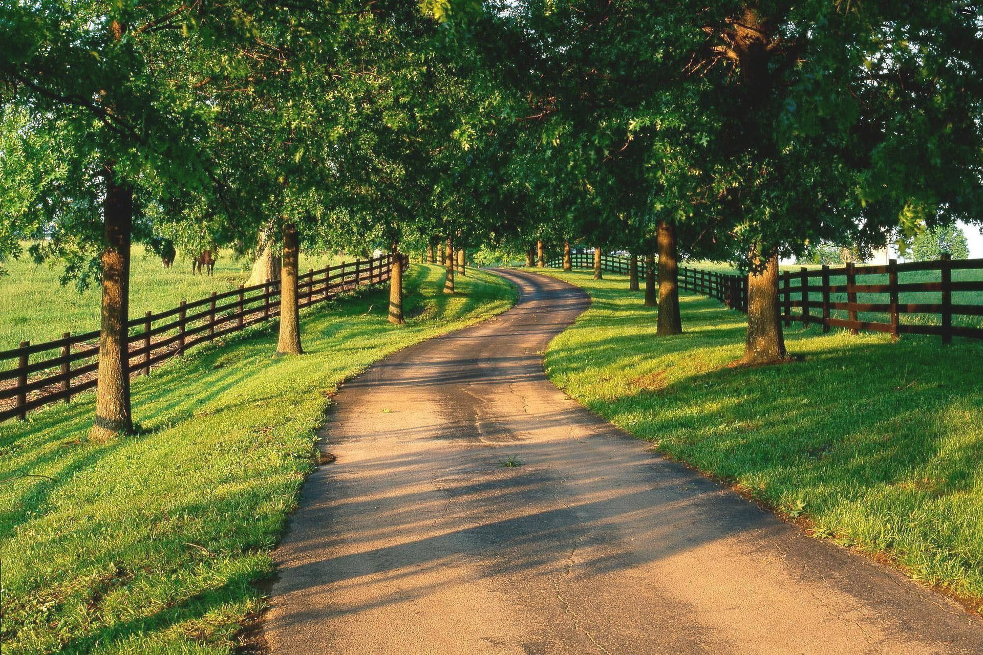 Country Road Wallpapers