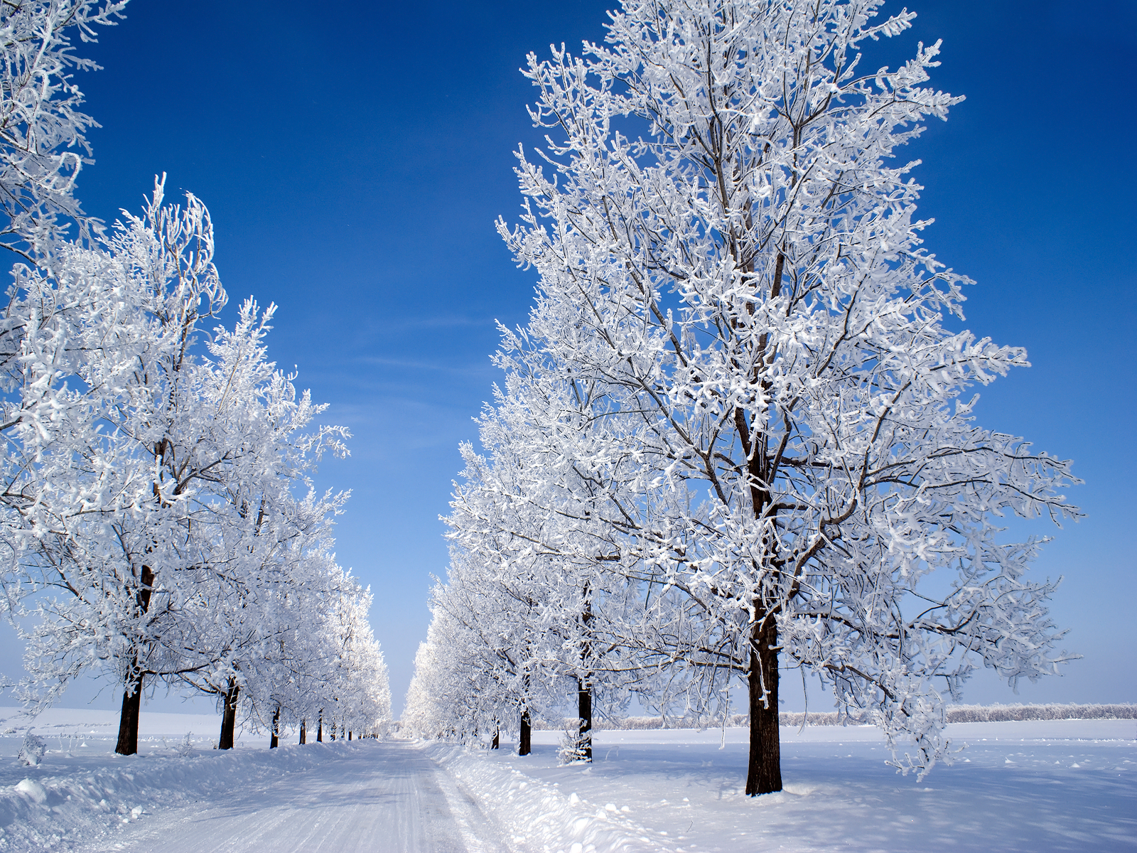 Country Snow Wallpapers
