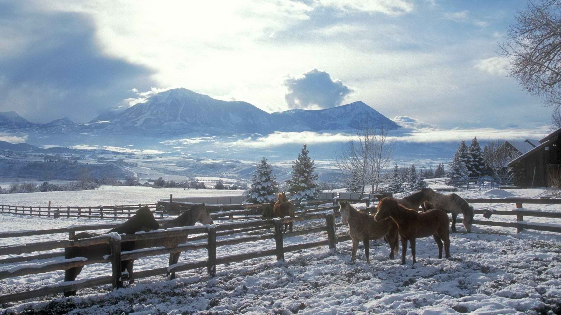 Country Snow Wallpapers