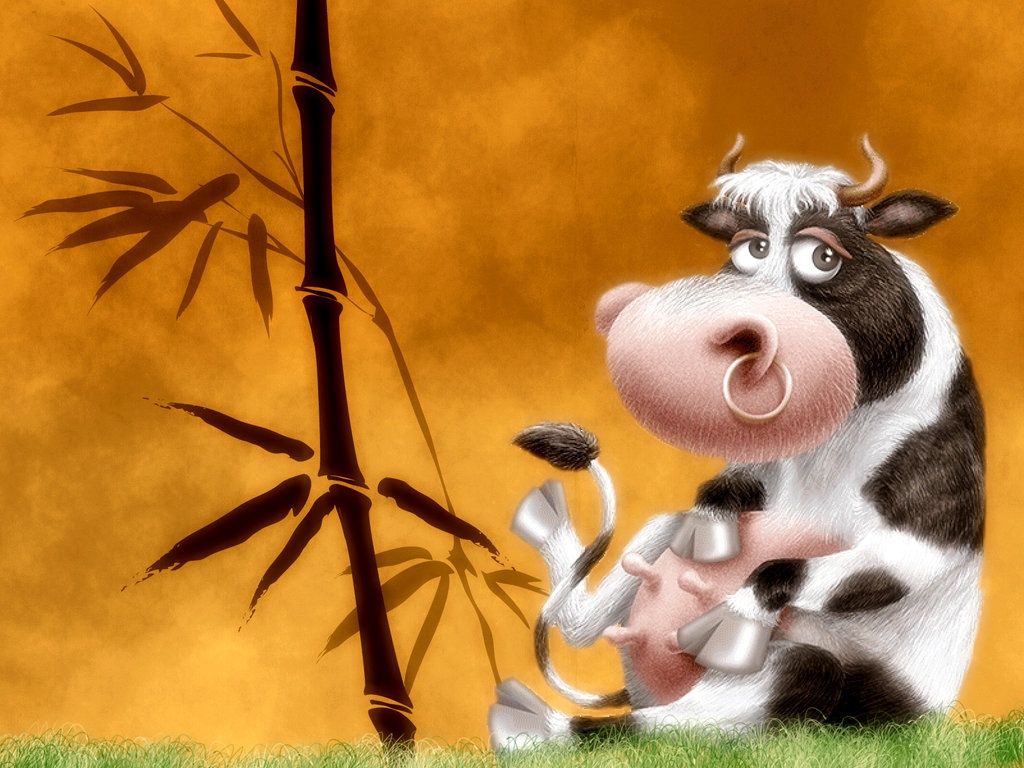 Cow Screensaver Wallpapers