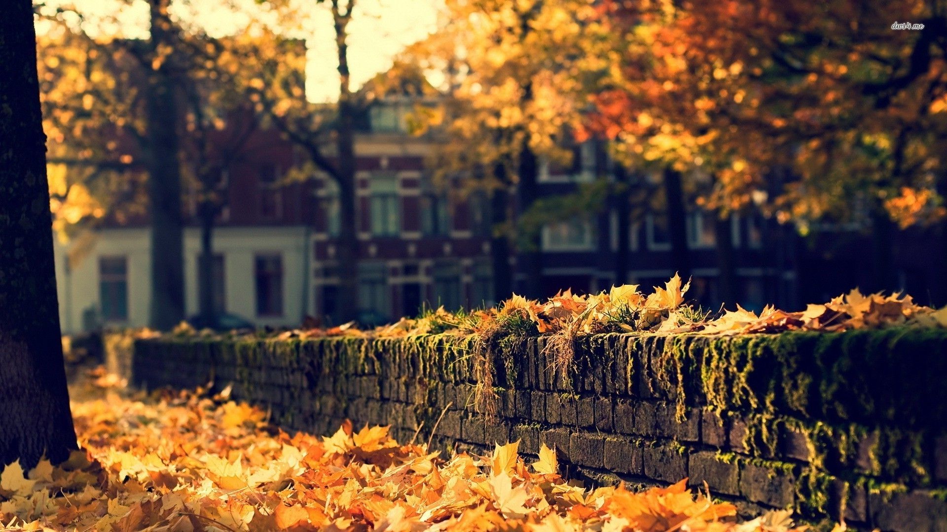 Cozy Fall Desktop Wallpapers