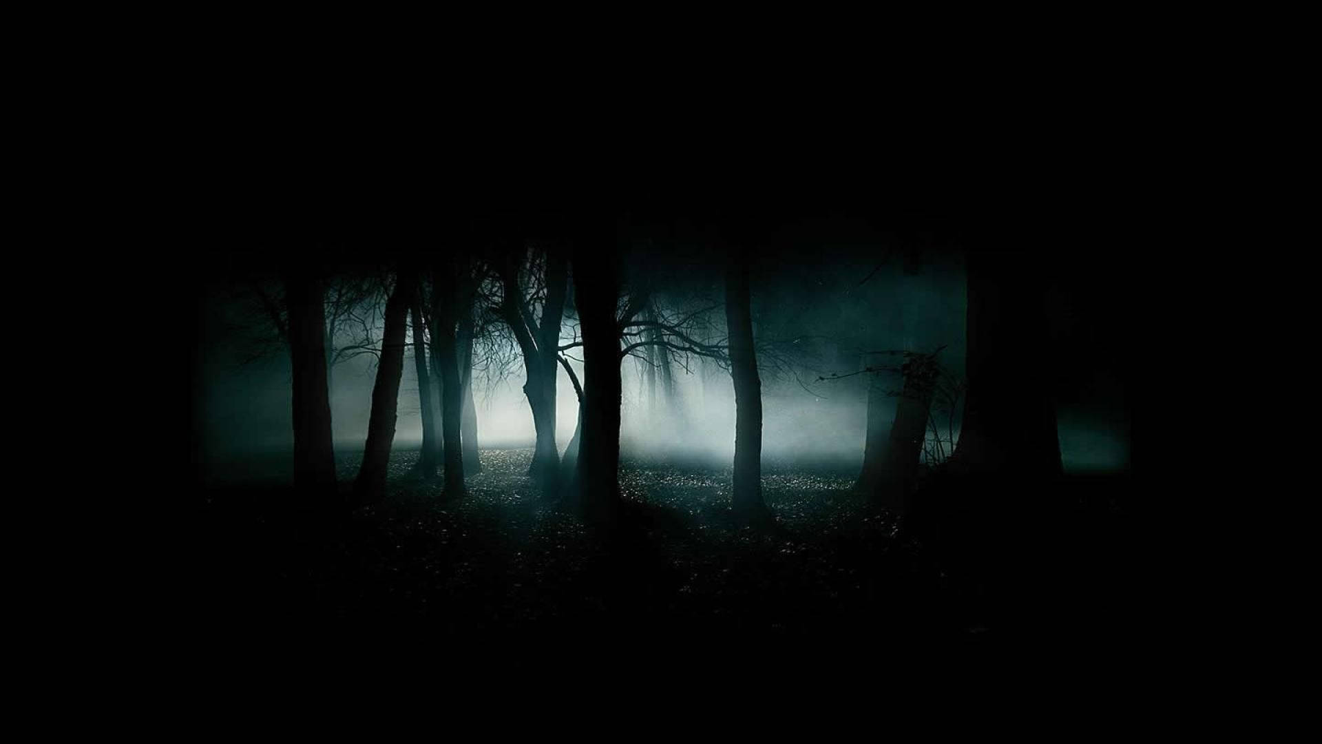 Creepy Foggy Forest Wallpapers