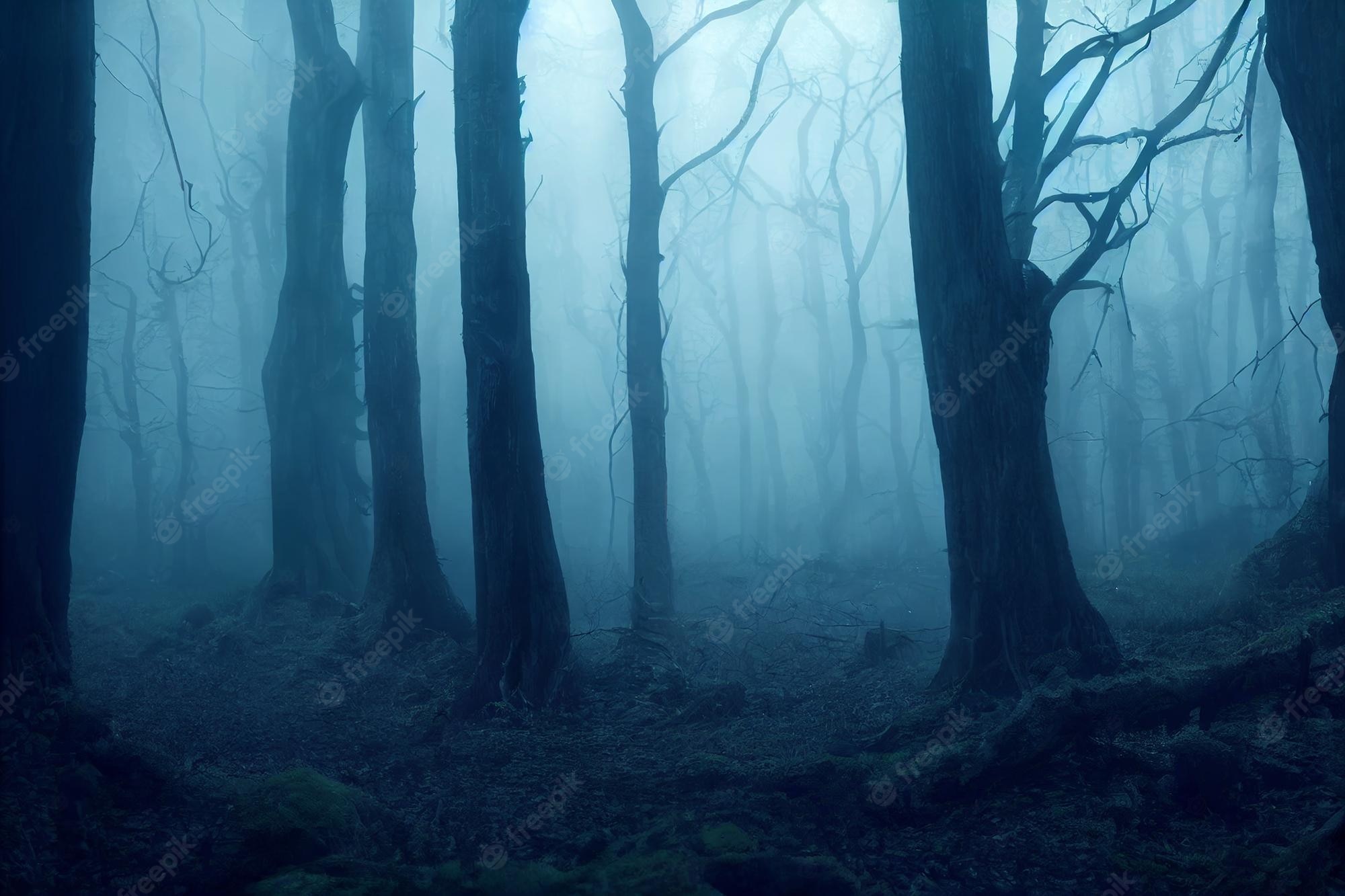 Creepy Foggy Forest Wallpapers