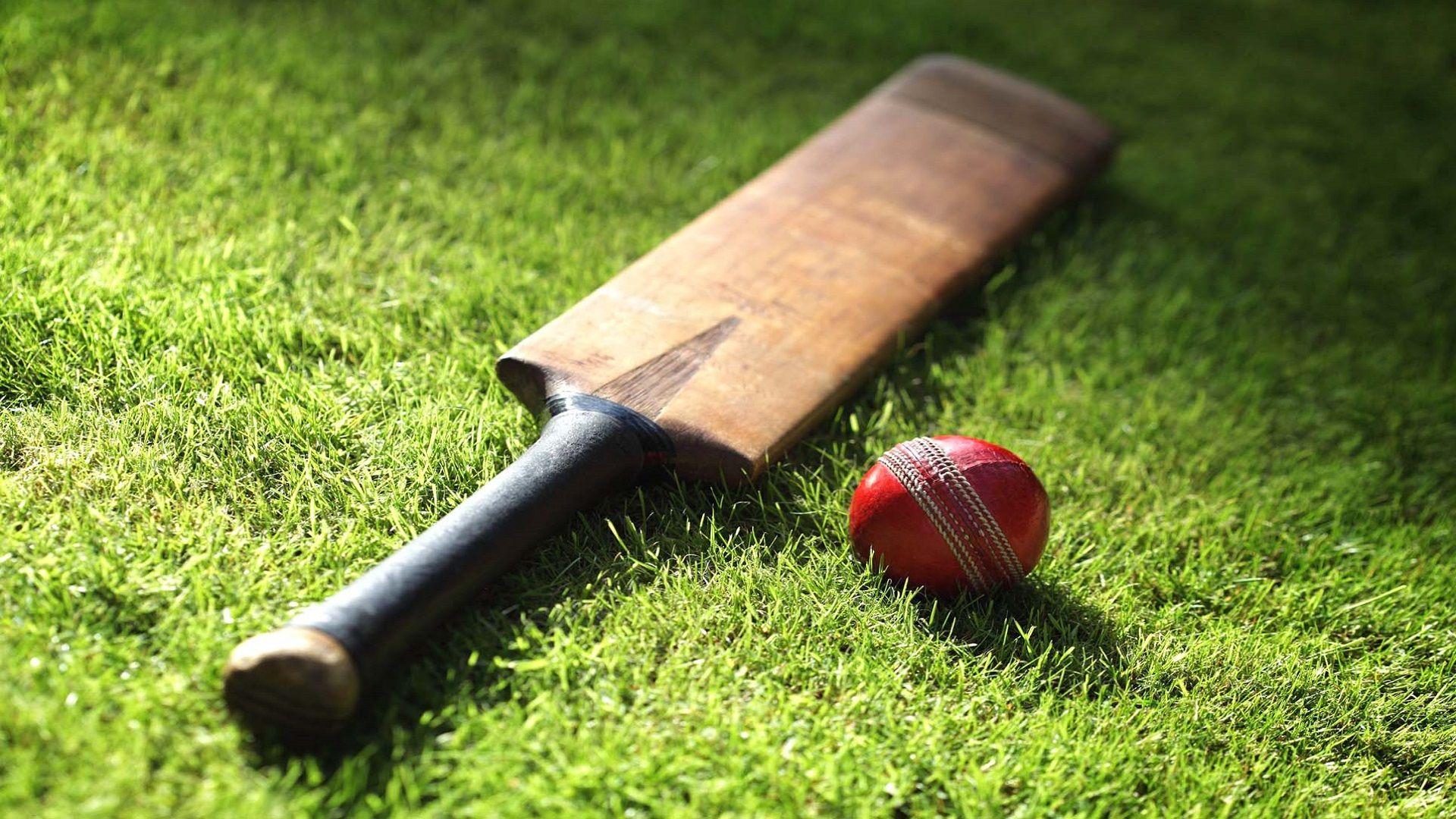 Cricket Paddle And Ball Wallpapers