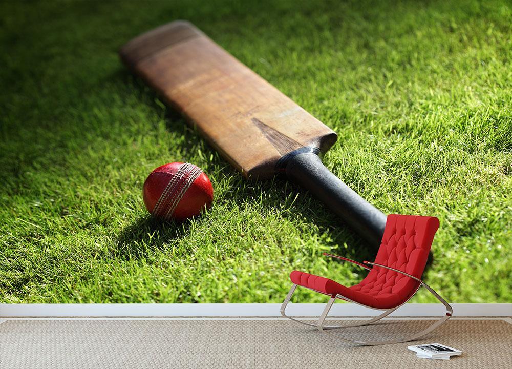 Cricket Paddle And Ball Wallpapers