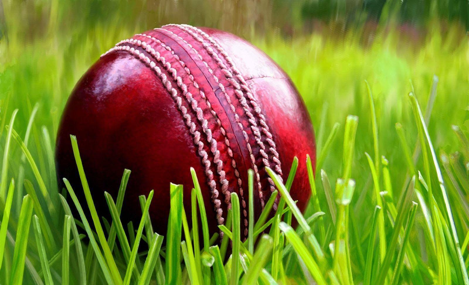 Cricket Paddle And Ball Wallpapers