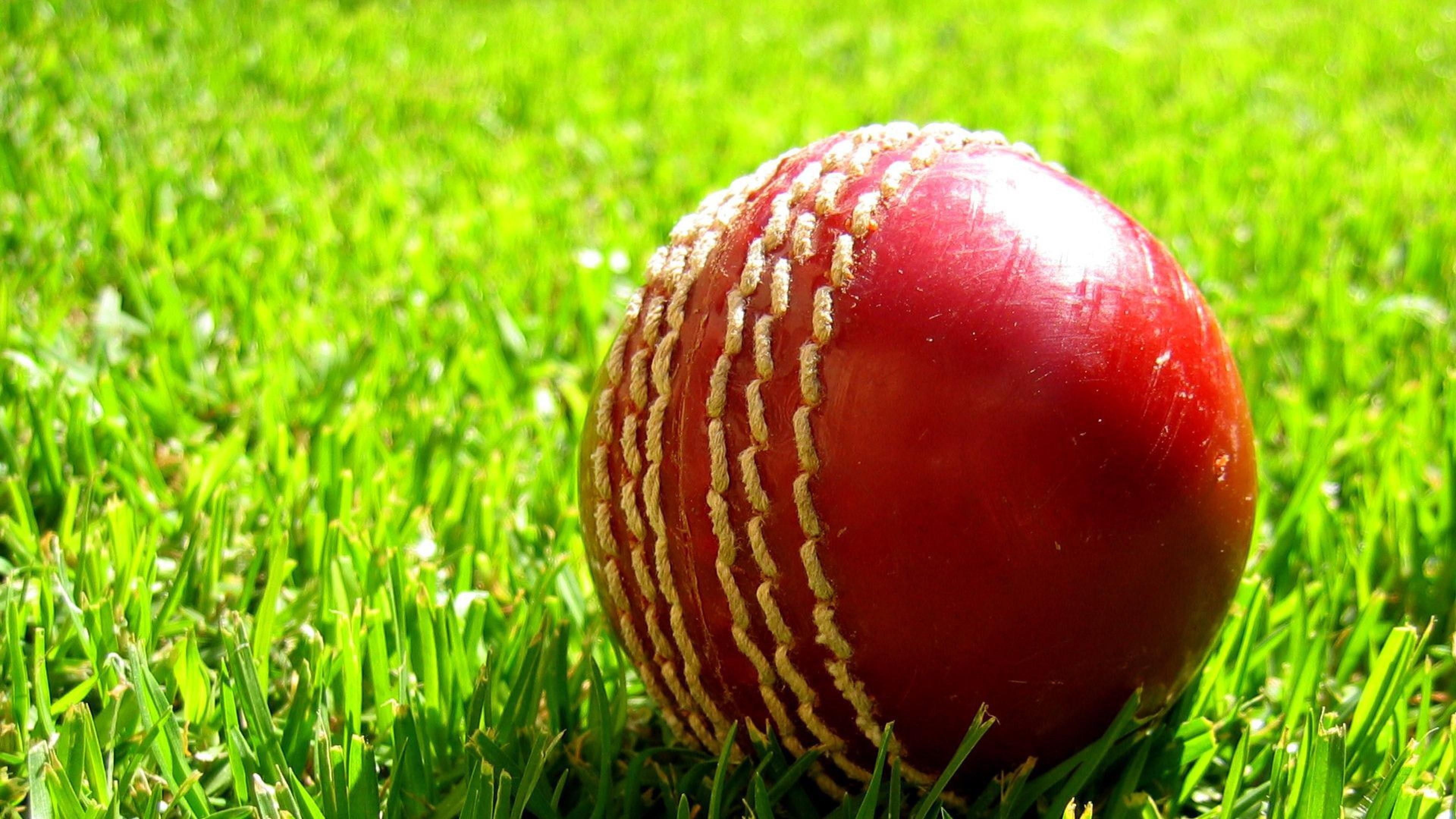 Cricket Paddle And Ball Wallpapers