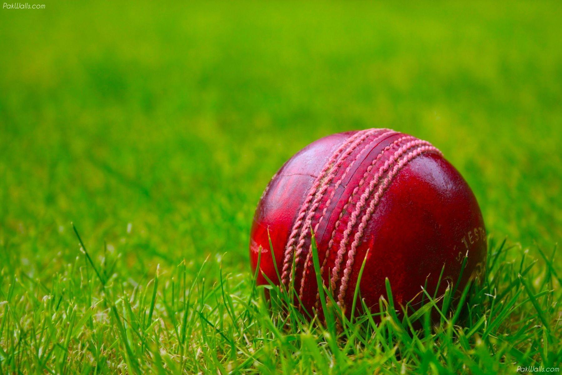 Cricket Sports Images Wallpapers