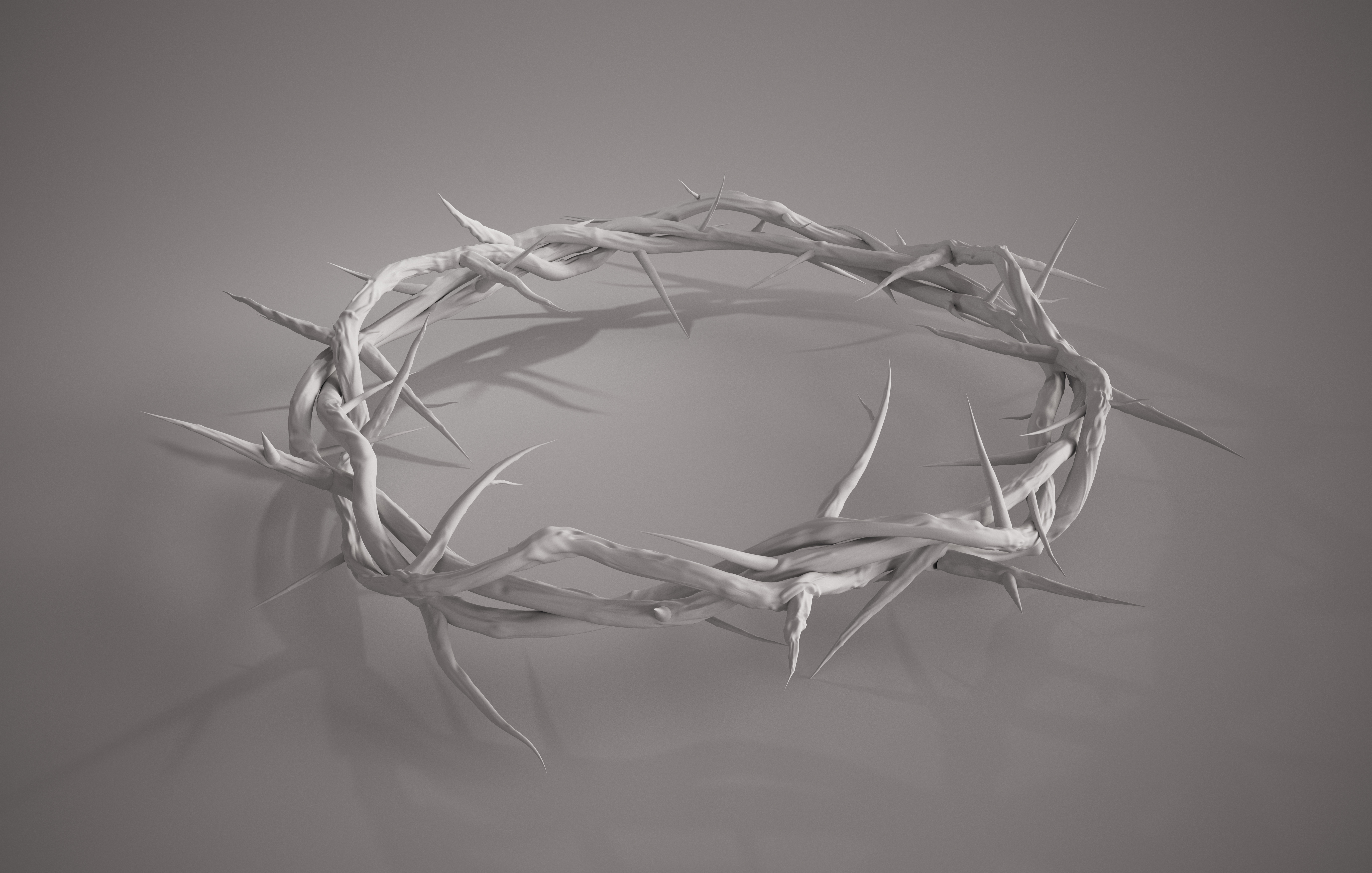 Crown Of Thorns Wallpapers