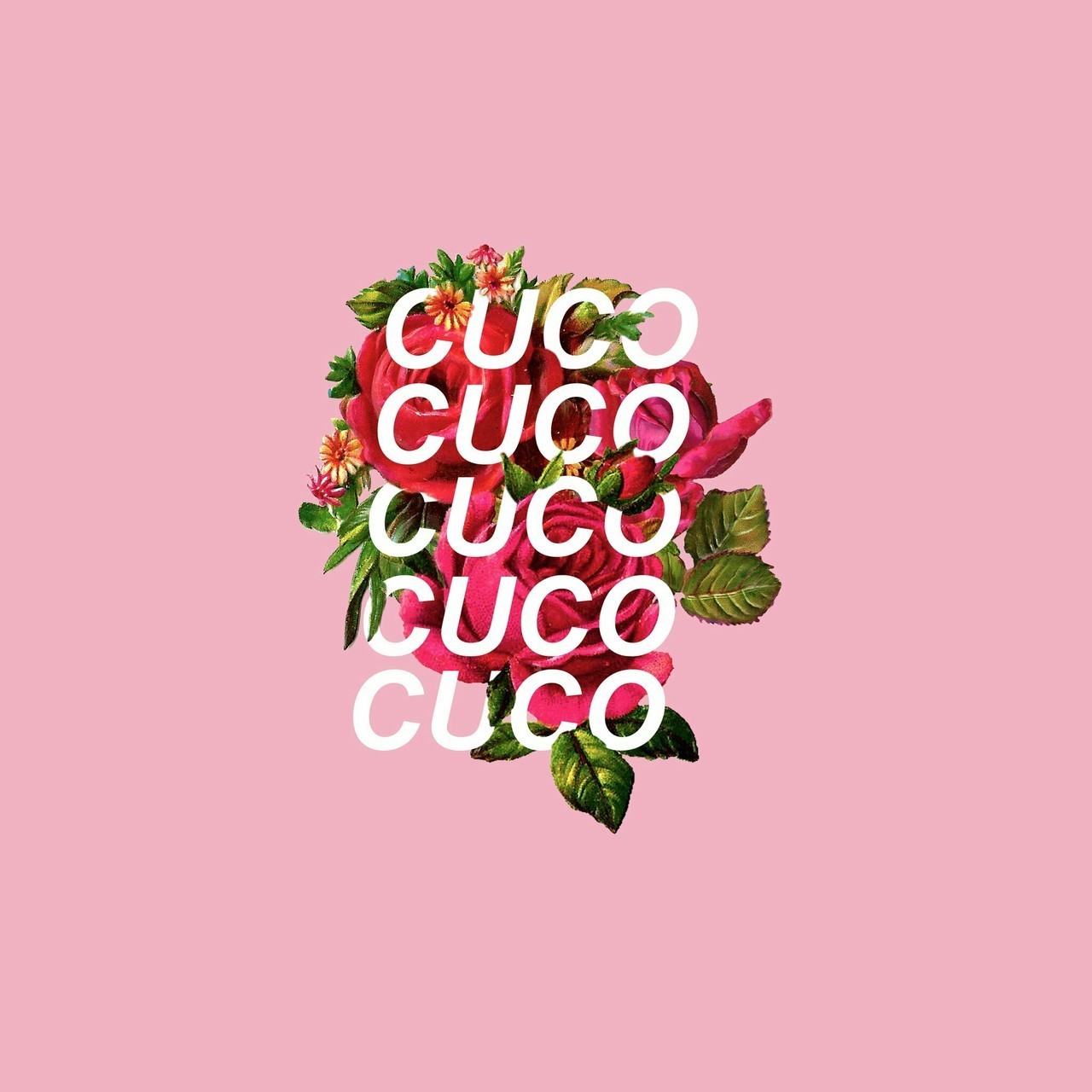 Cuco Wallpapers