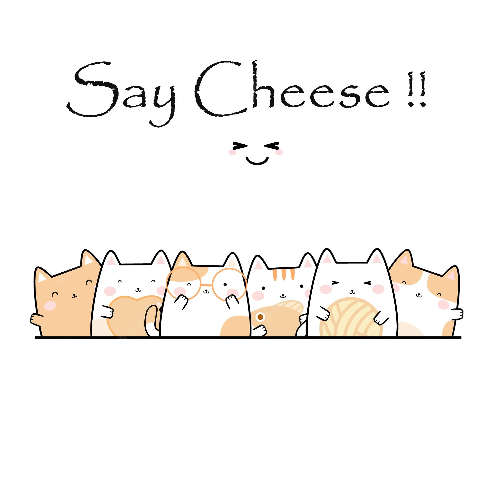 Cute Cheese Wallpapers