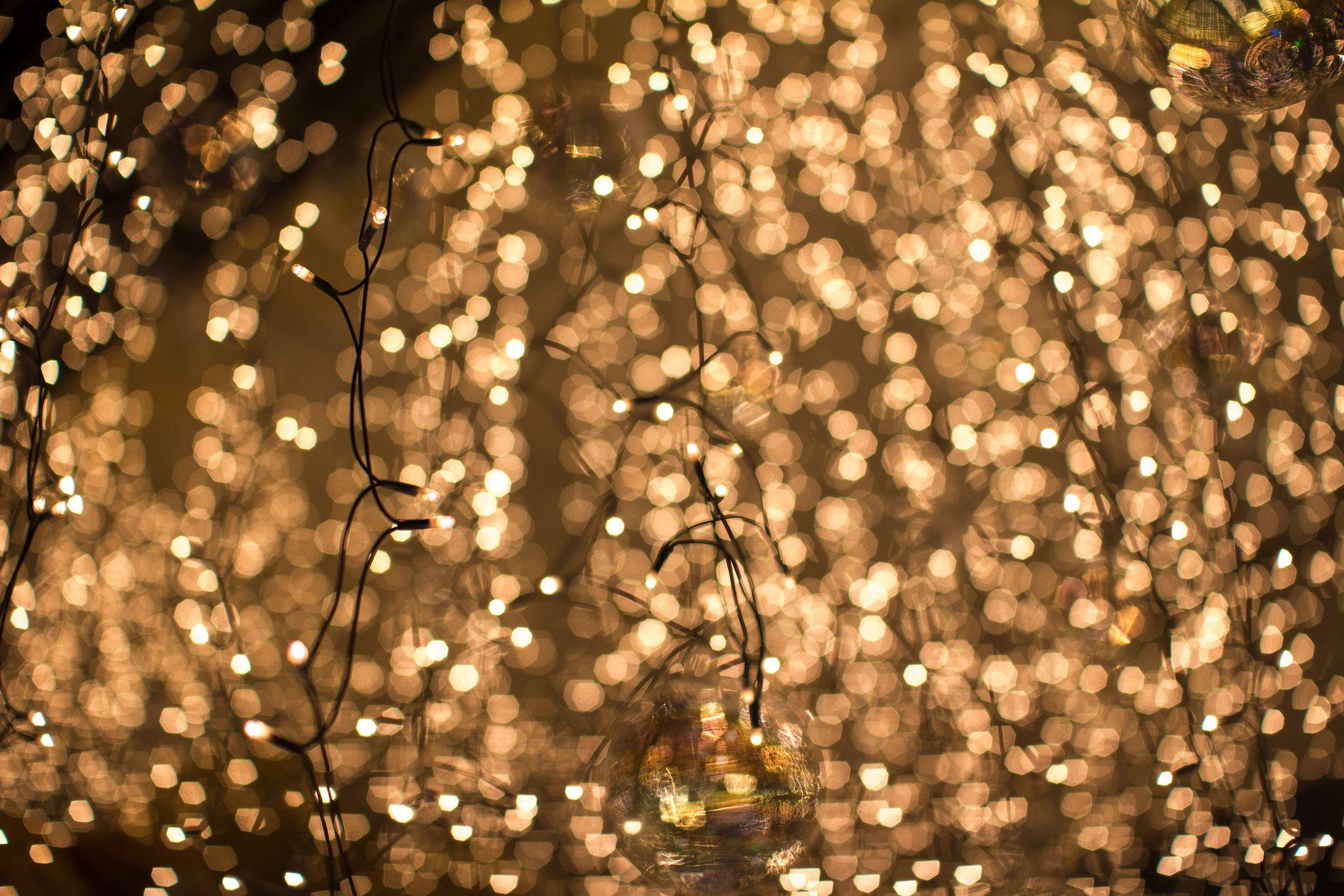 Cute Fairy Light Wallpapers