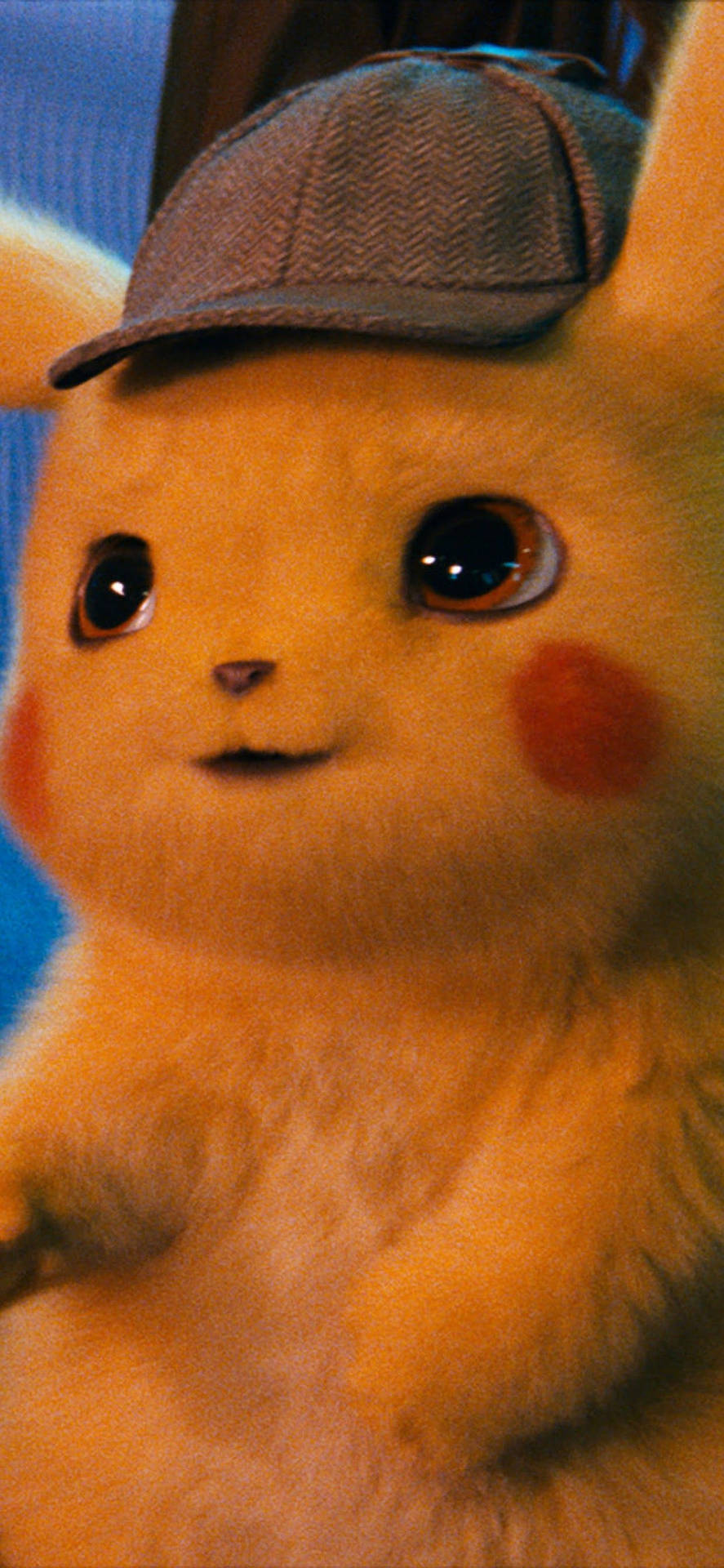 Cute Real Pikachu Wallpapers