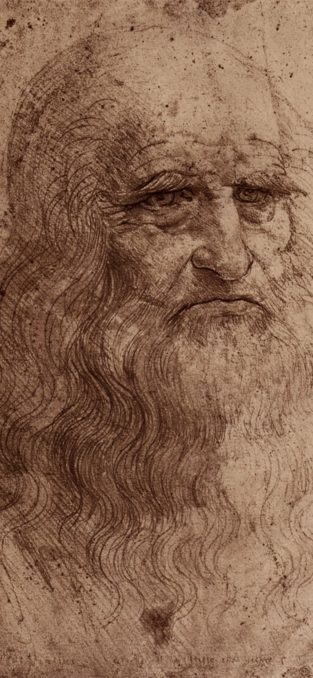 Da Vinci Wallpapers