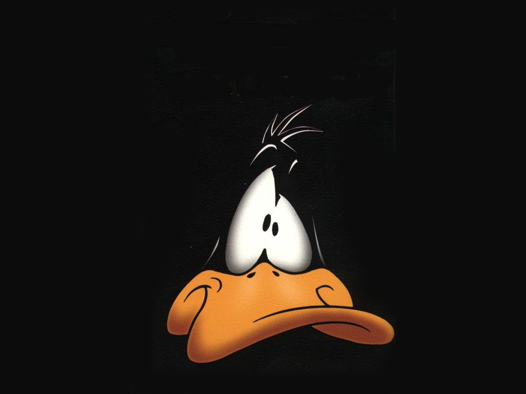 Daffy Duck Wallpapers