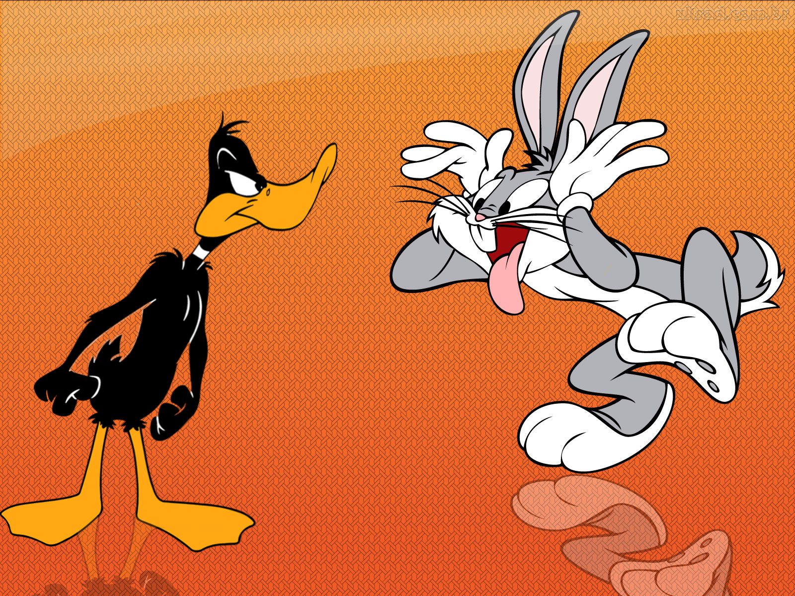 Daffy Duck Wallpapers