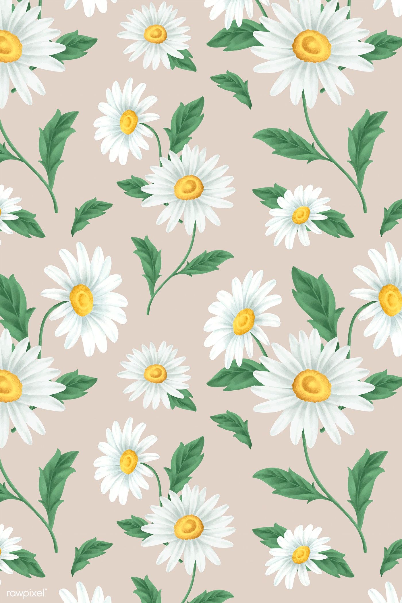 Daisy Backdrop Wallpapers