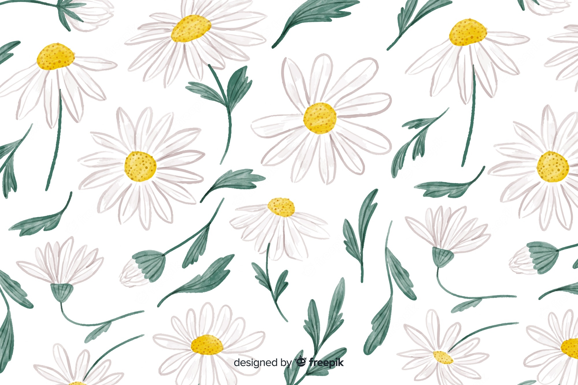 Daisy Backdrop Wallpapers