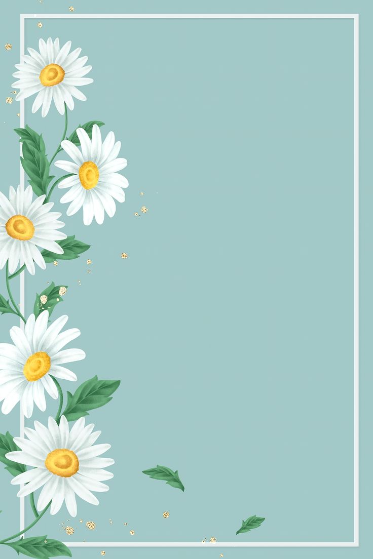 Daisy Backdrop Wallpapers