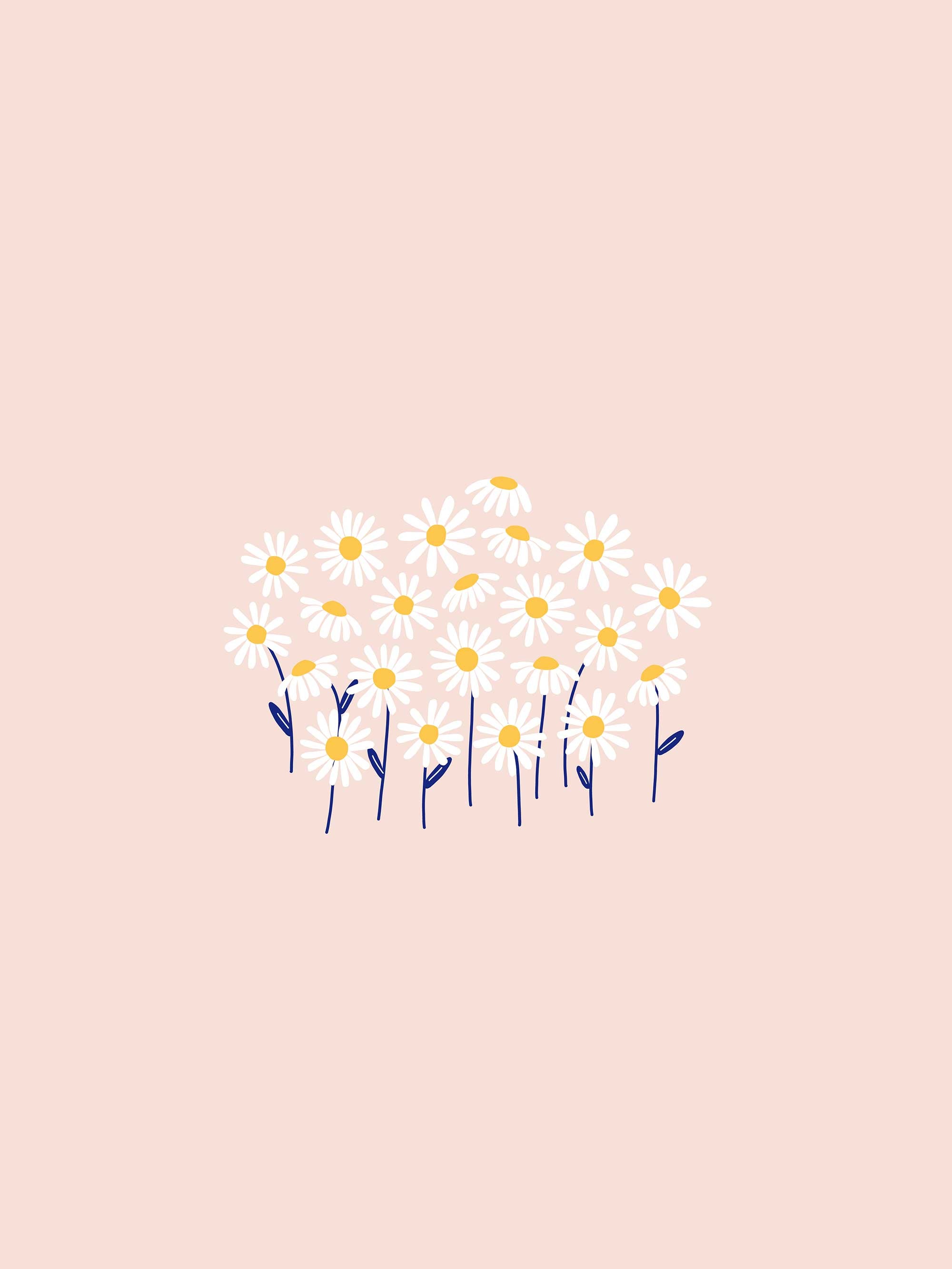 Daisy Backdrop Wallpapers