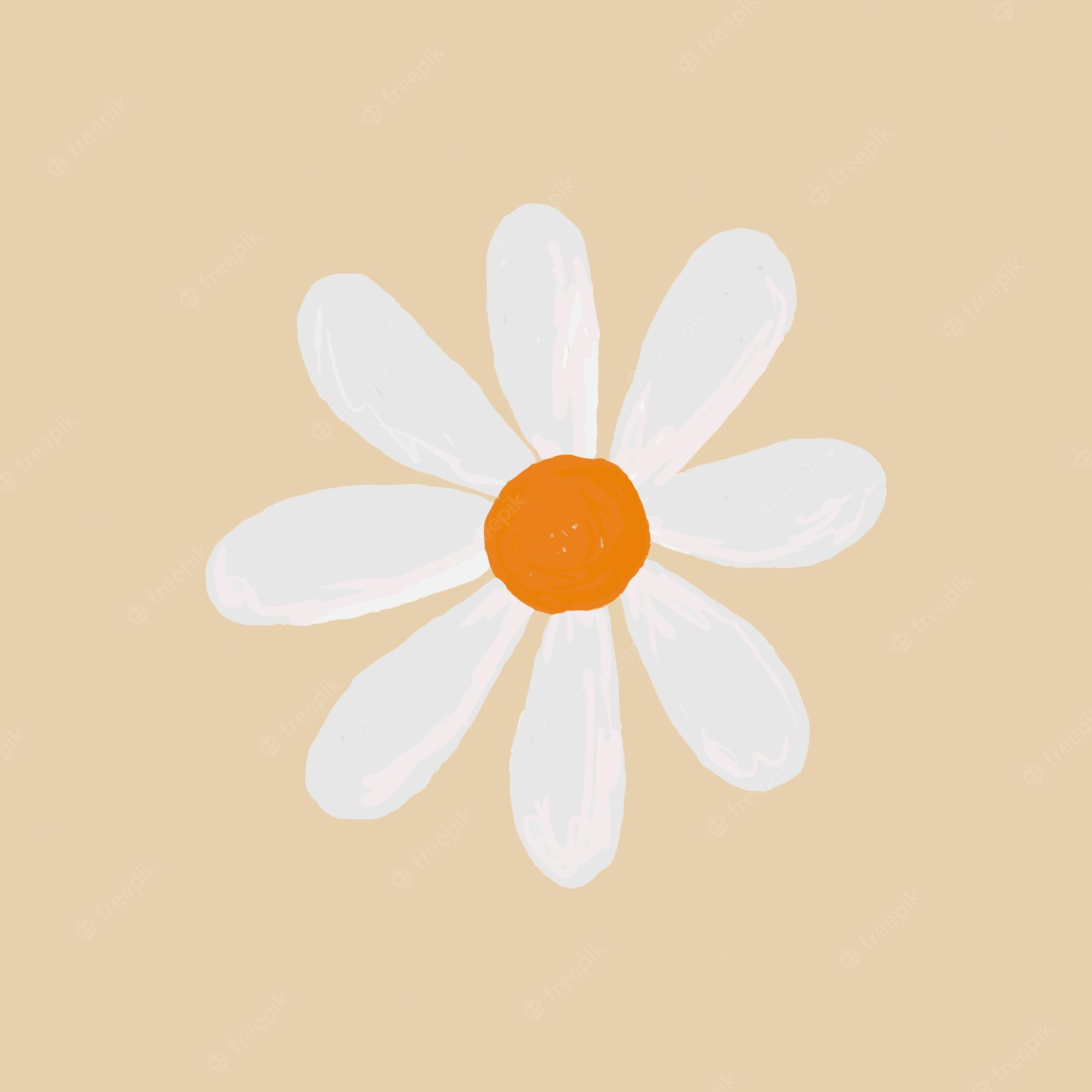 Daisy Backdrop Wallpapers