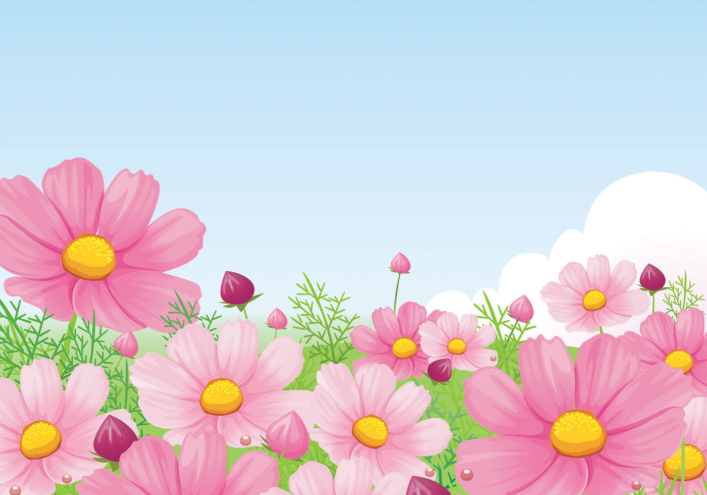 Daisy Backdrop Wallpapers