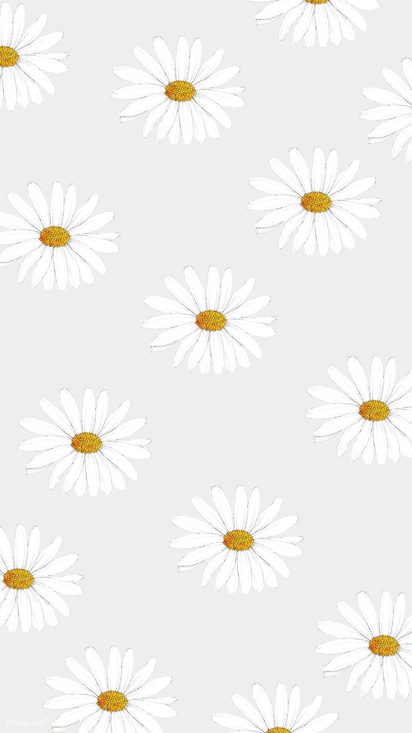 Daisy Backdrop Wallpapers