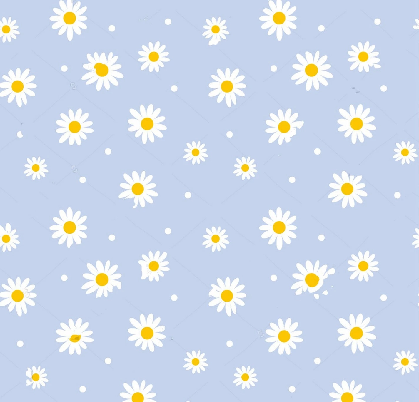 Daisy Backdrop Wallpapers