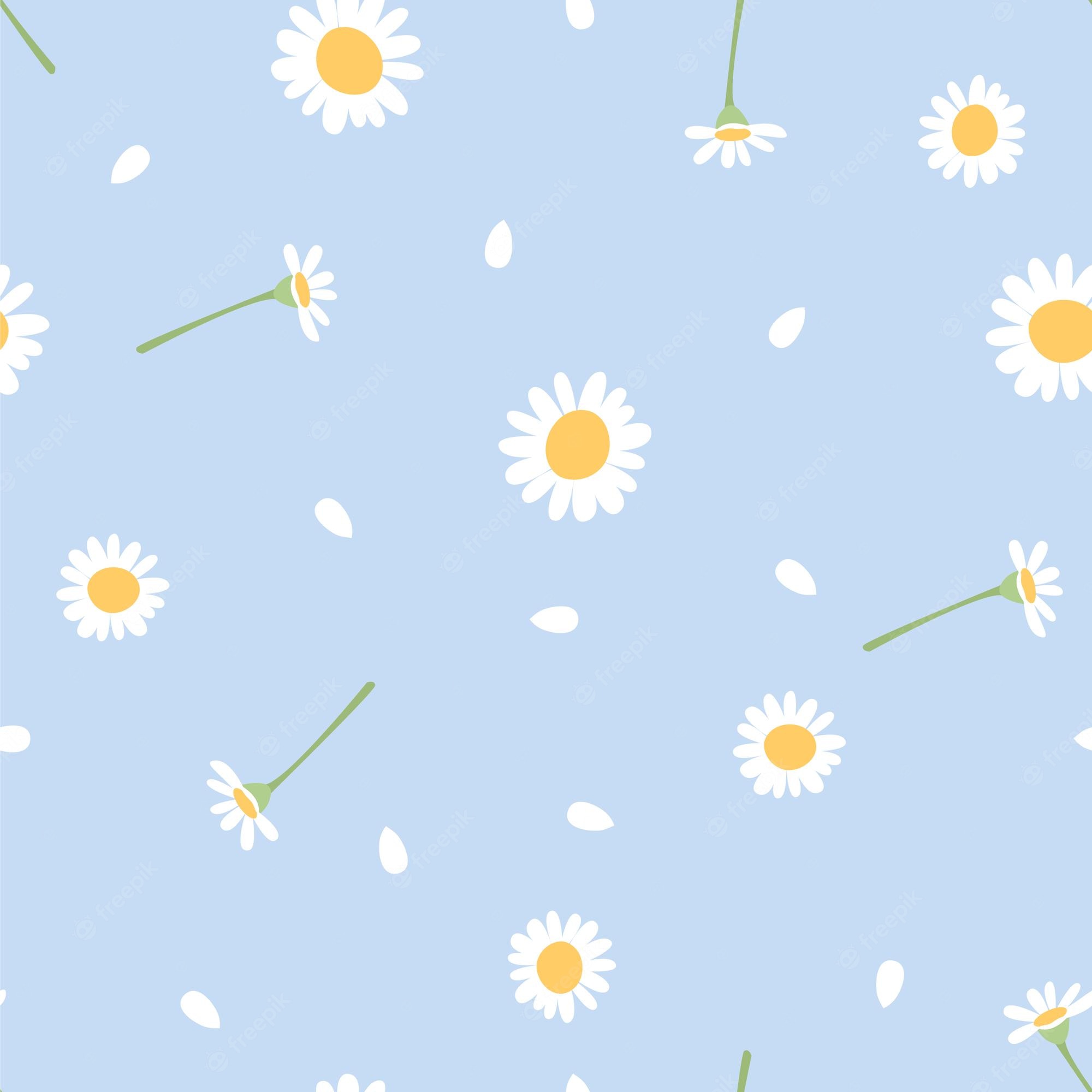 Daisy Backdrop Wallpapers