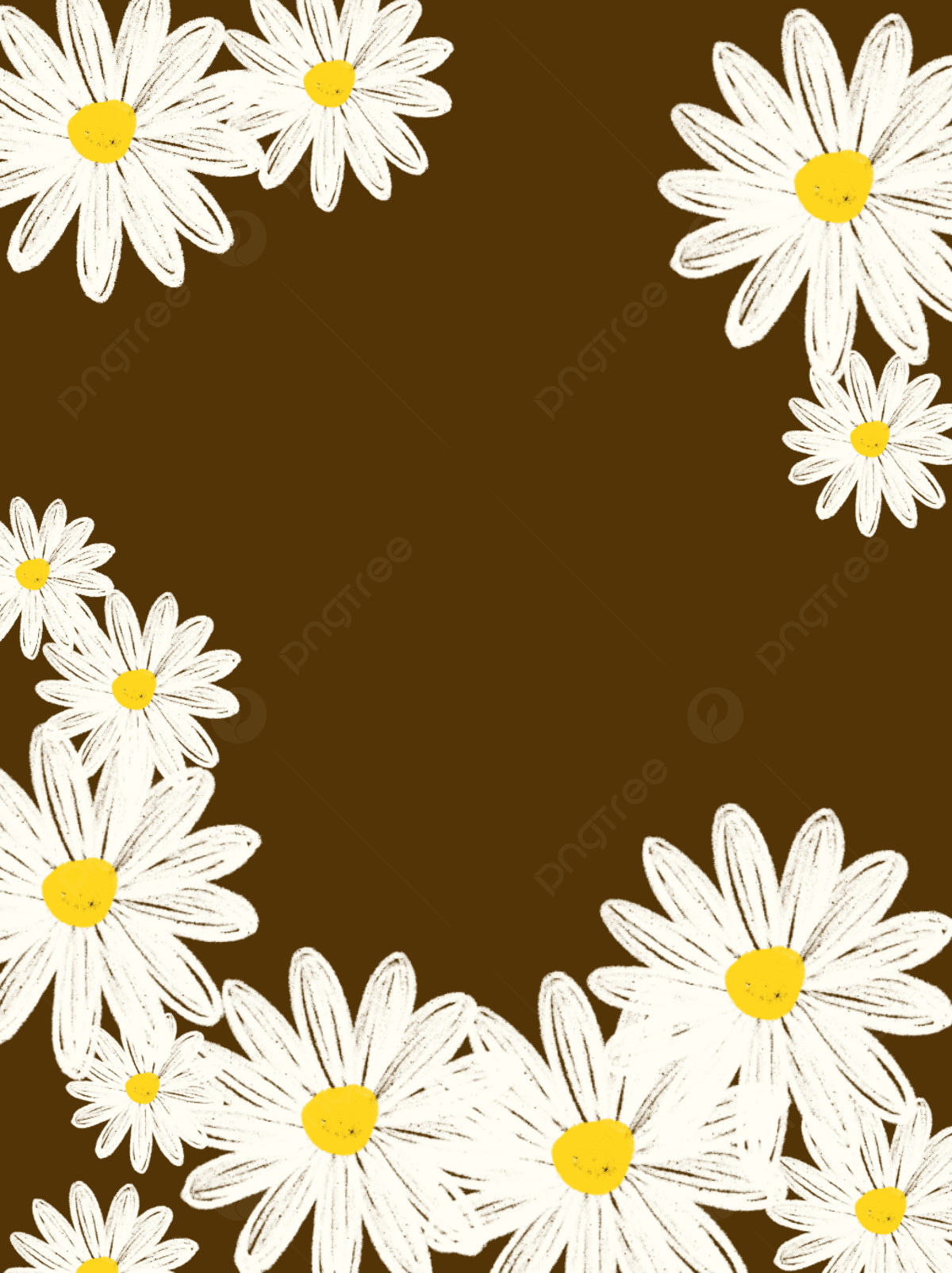 Daisy Backdrop Wallpapers