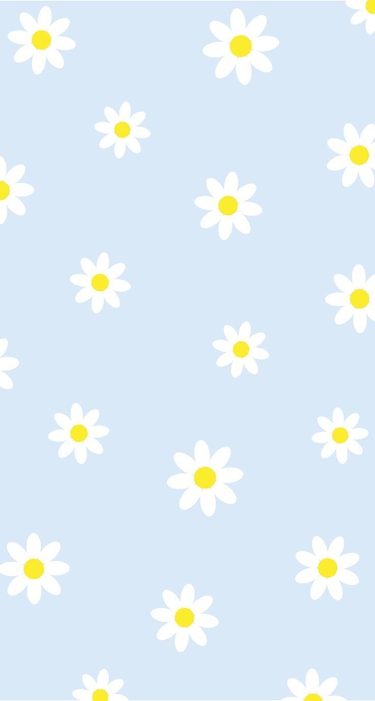 Daisy Iphone Wallpapers