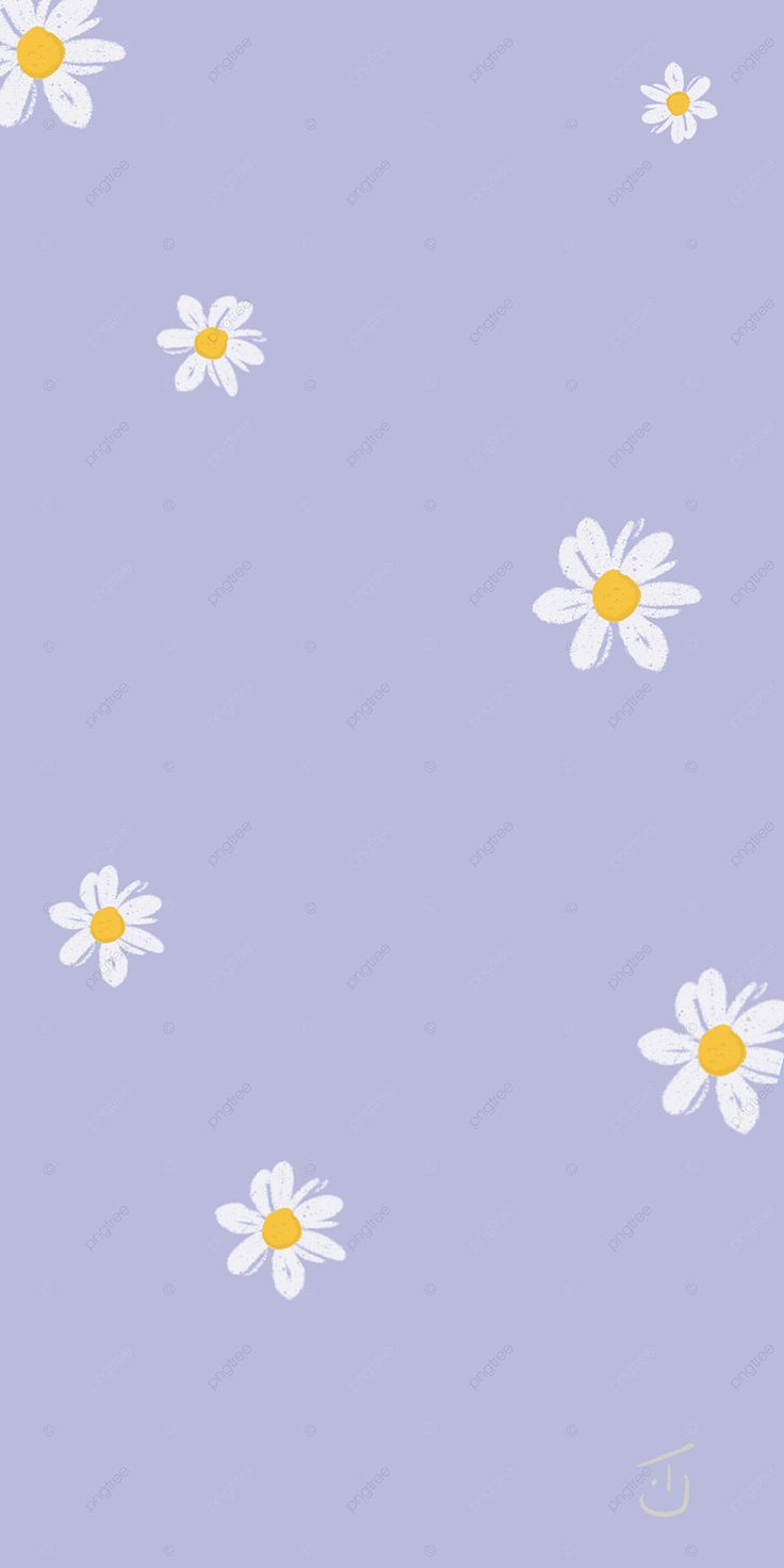 Daisy Iphone Wallpapers