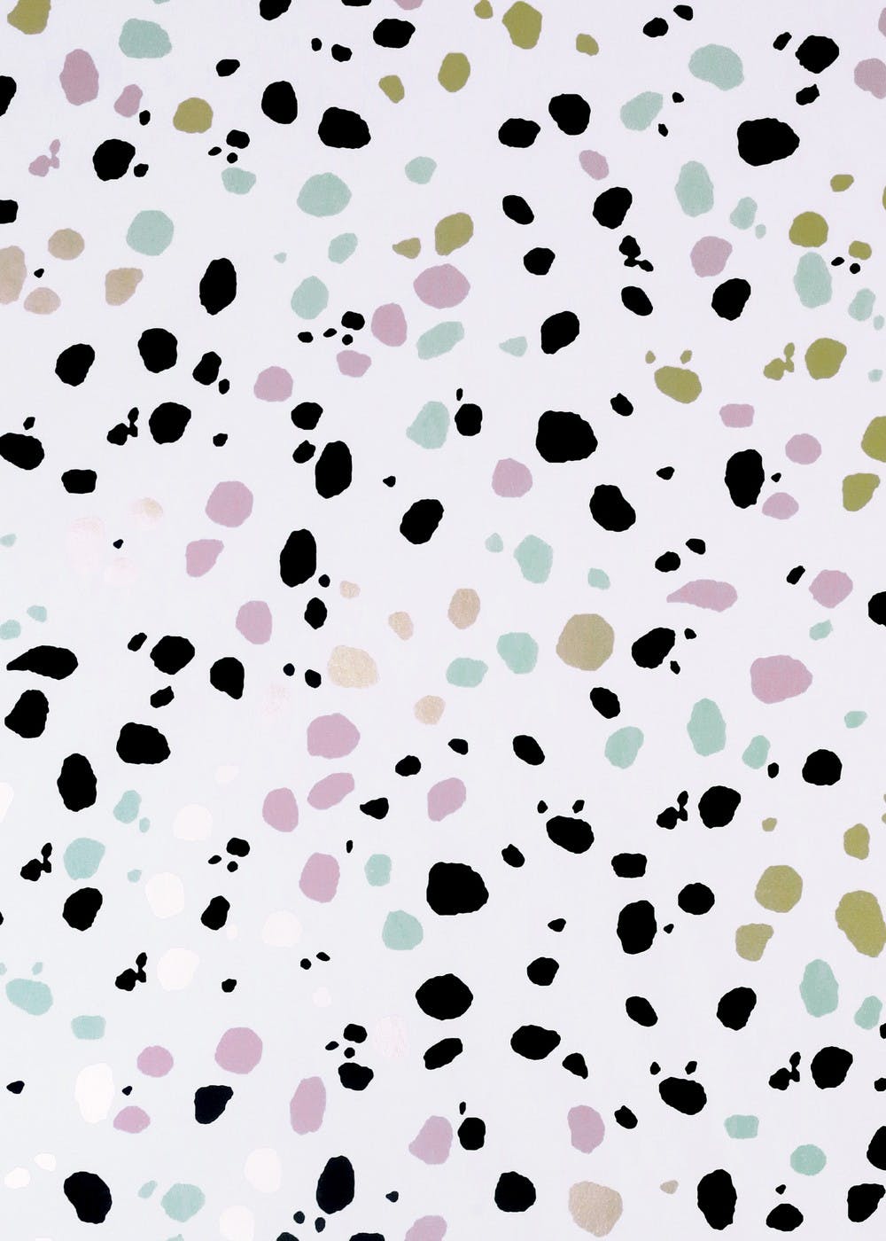 Dalmatian Iphone Wallpapers