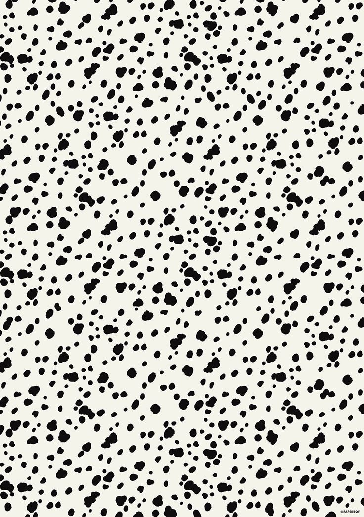 Dalmatian Iphone Wallpapers