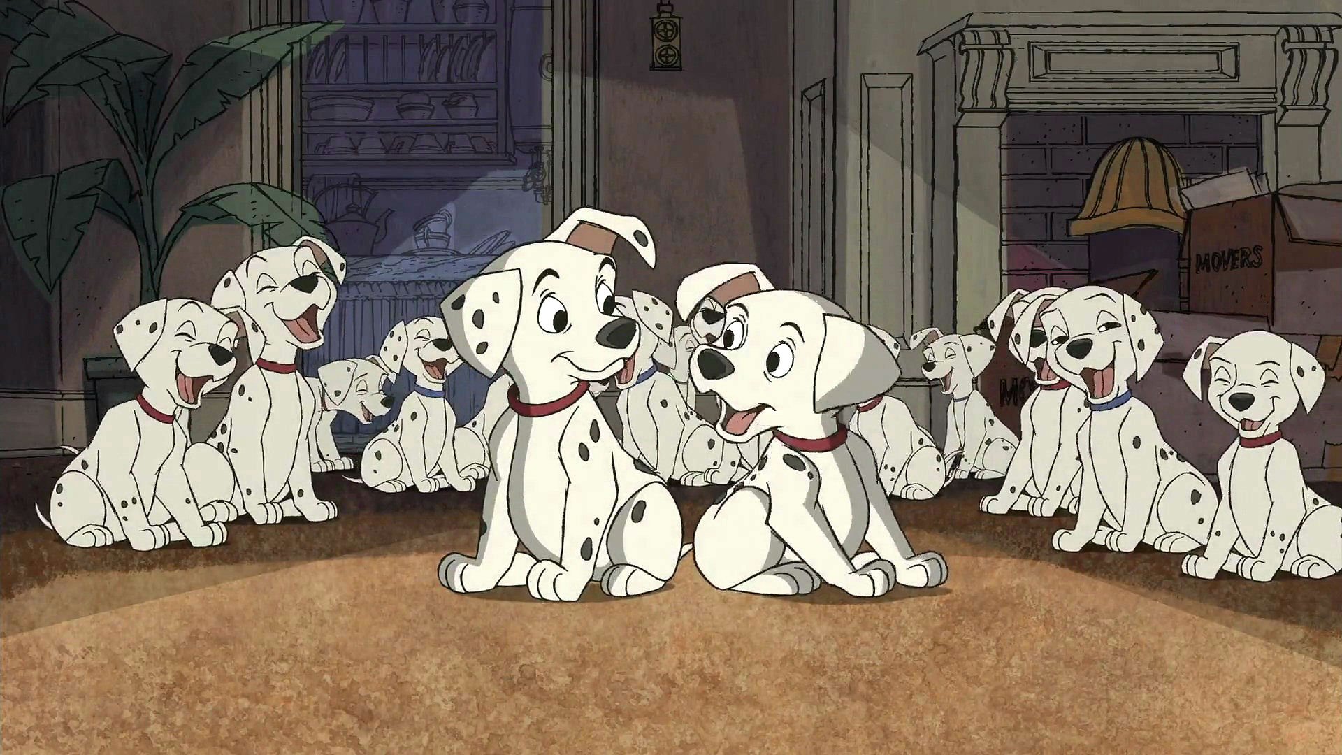 Dalmatians Wallpapers