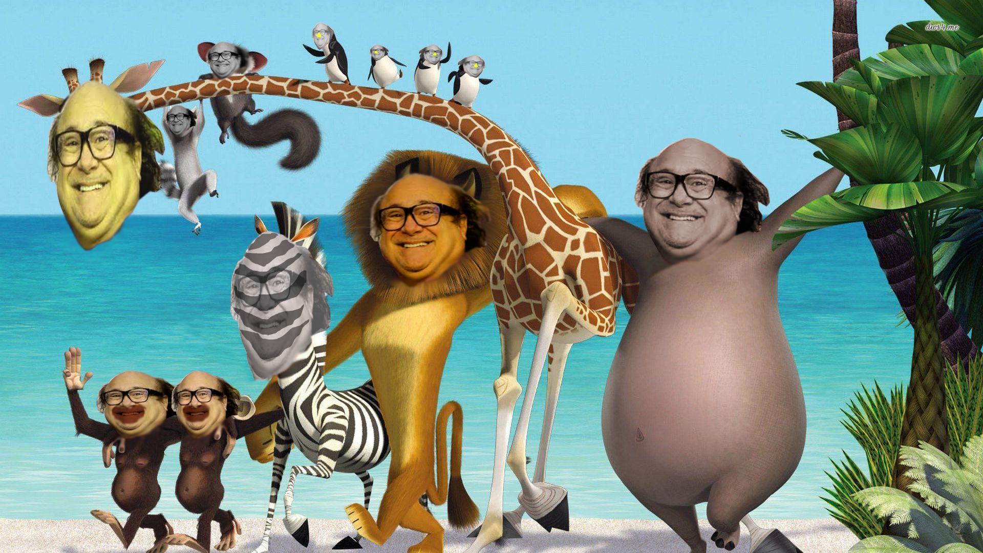 Danny Devito Wallpapers