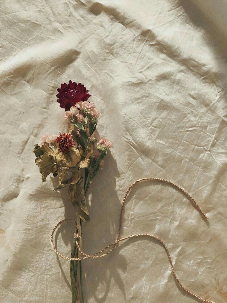 Dead Flowers Aesthetic Wallpapers