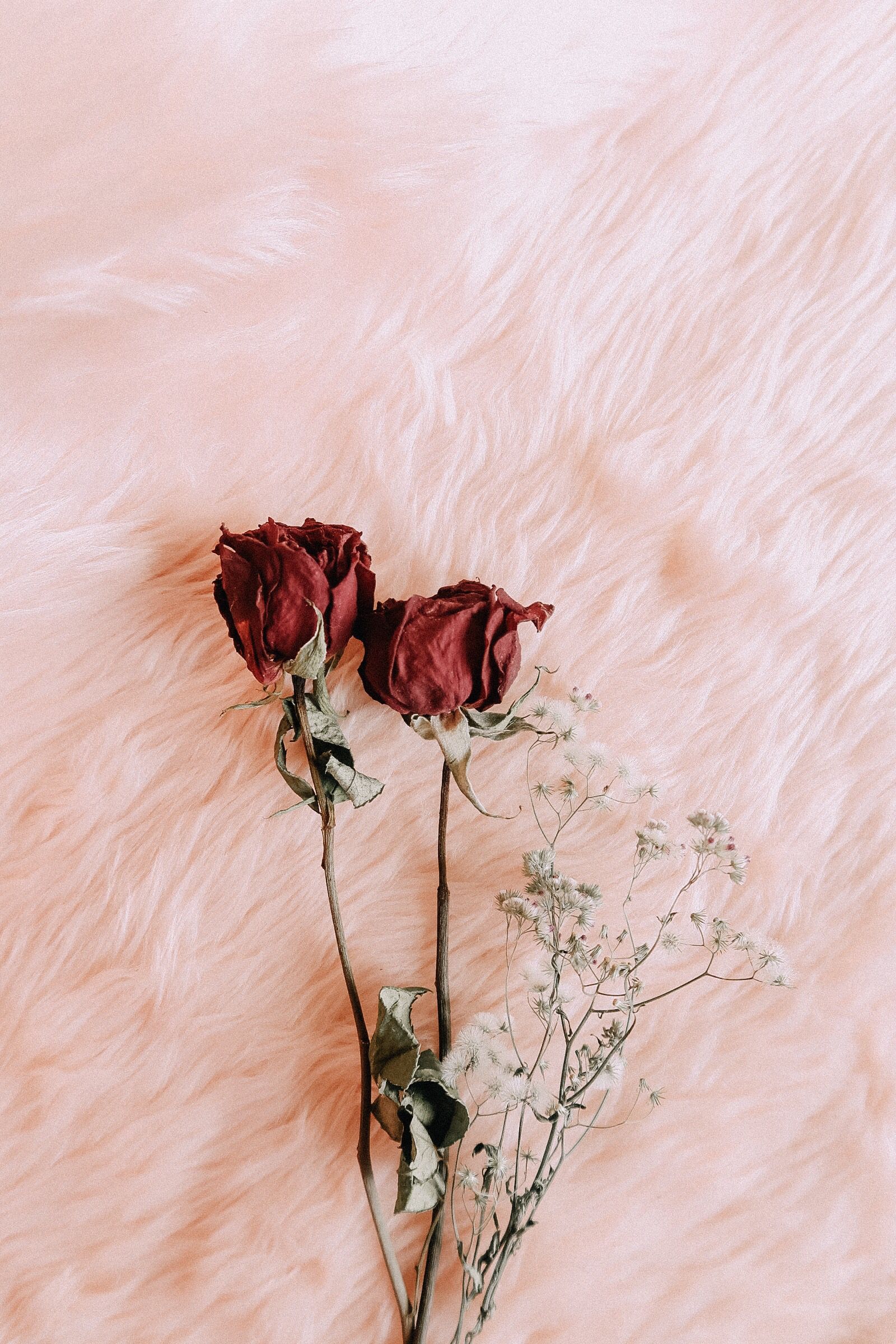 Dead Flowers Aesthetic Wallpapers