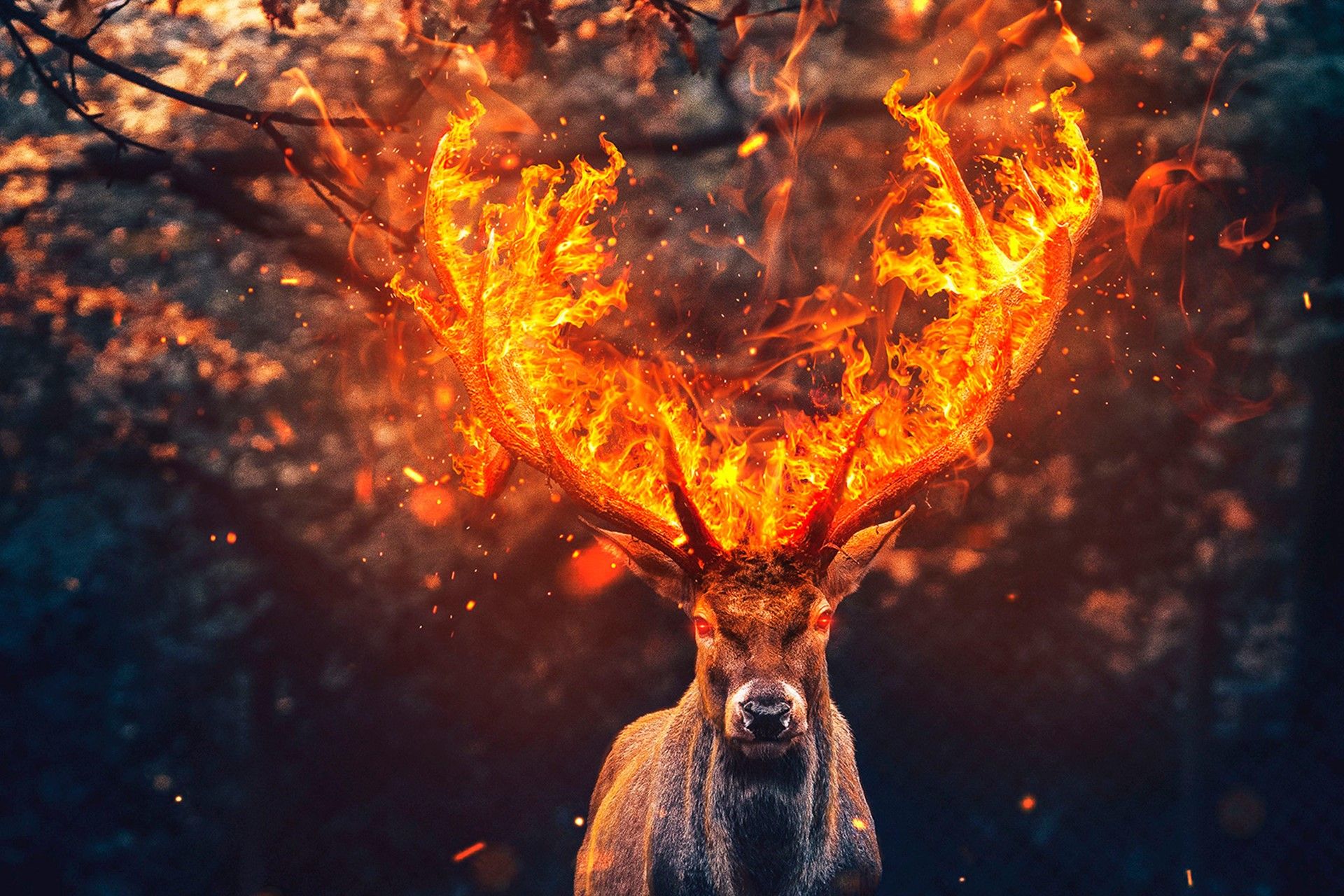 Deer Art Wallpapers