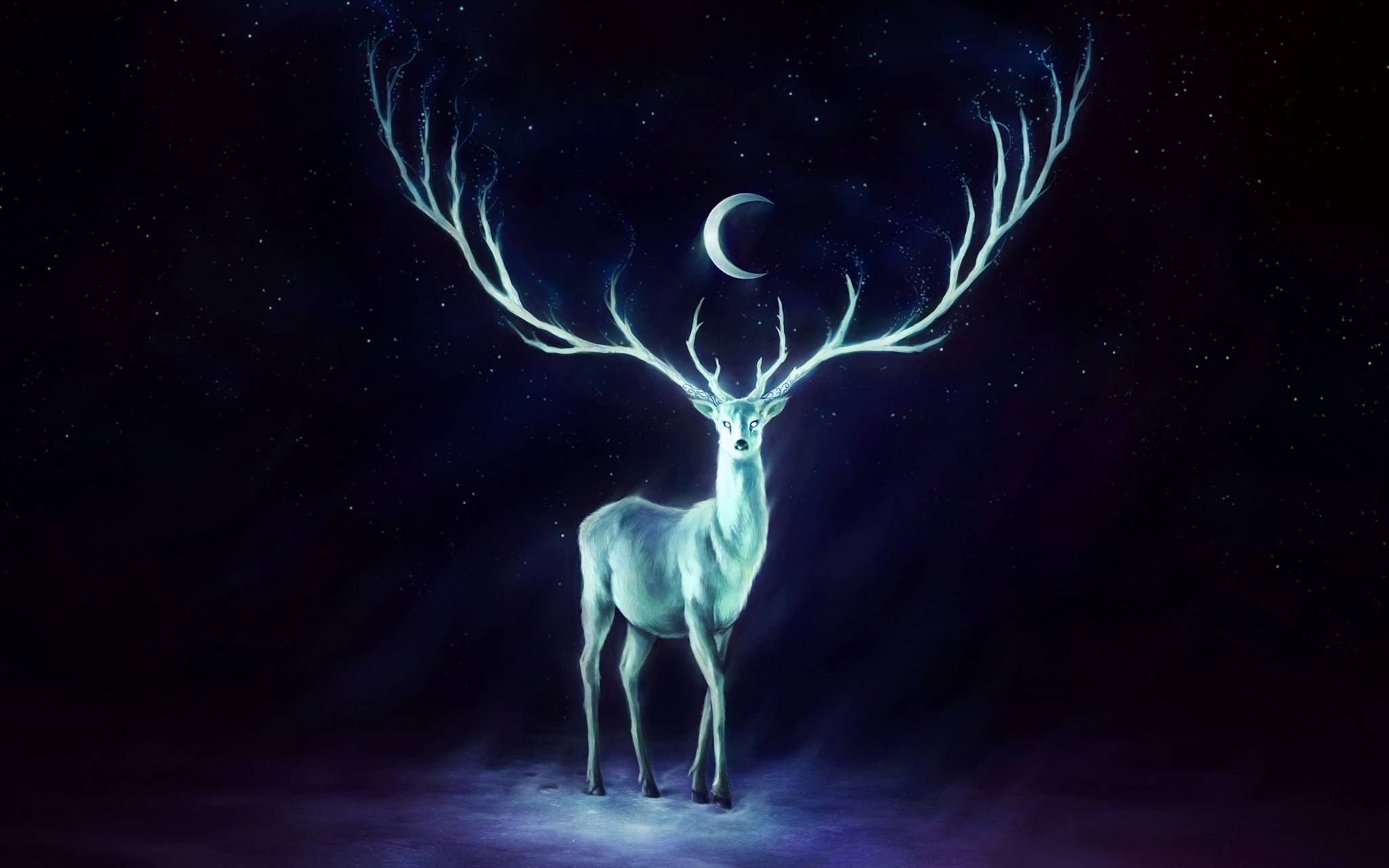 Deer Art Wallpapers