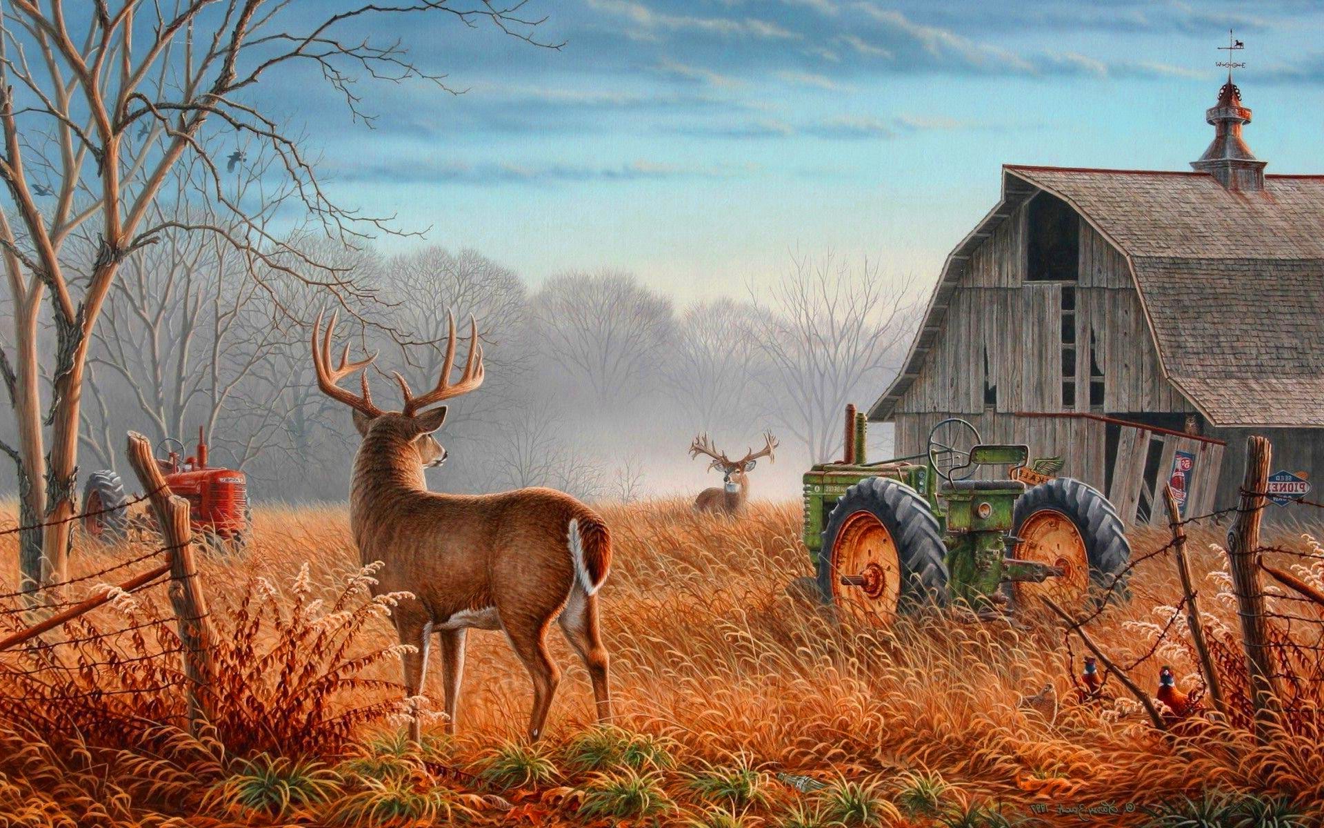 Deer Hunting Wallpapers