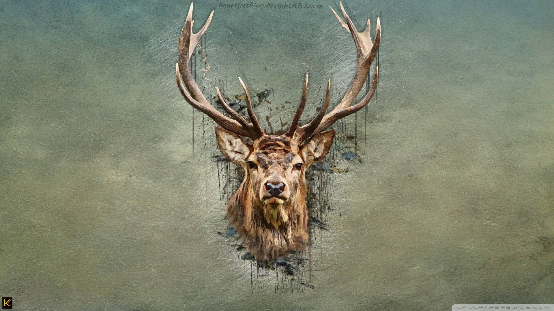 Deer Hunting Wallpapers