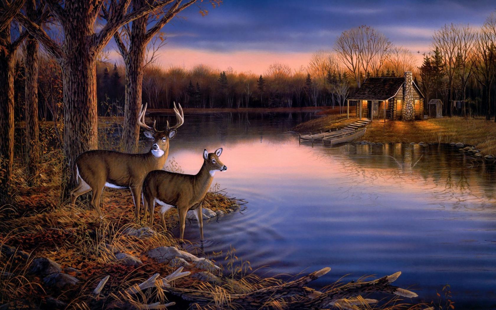 Deer Hunting Wallpapers