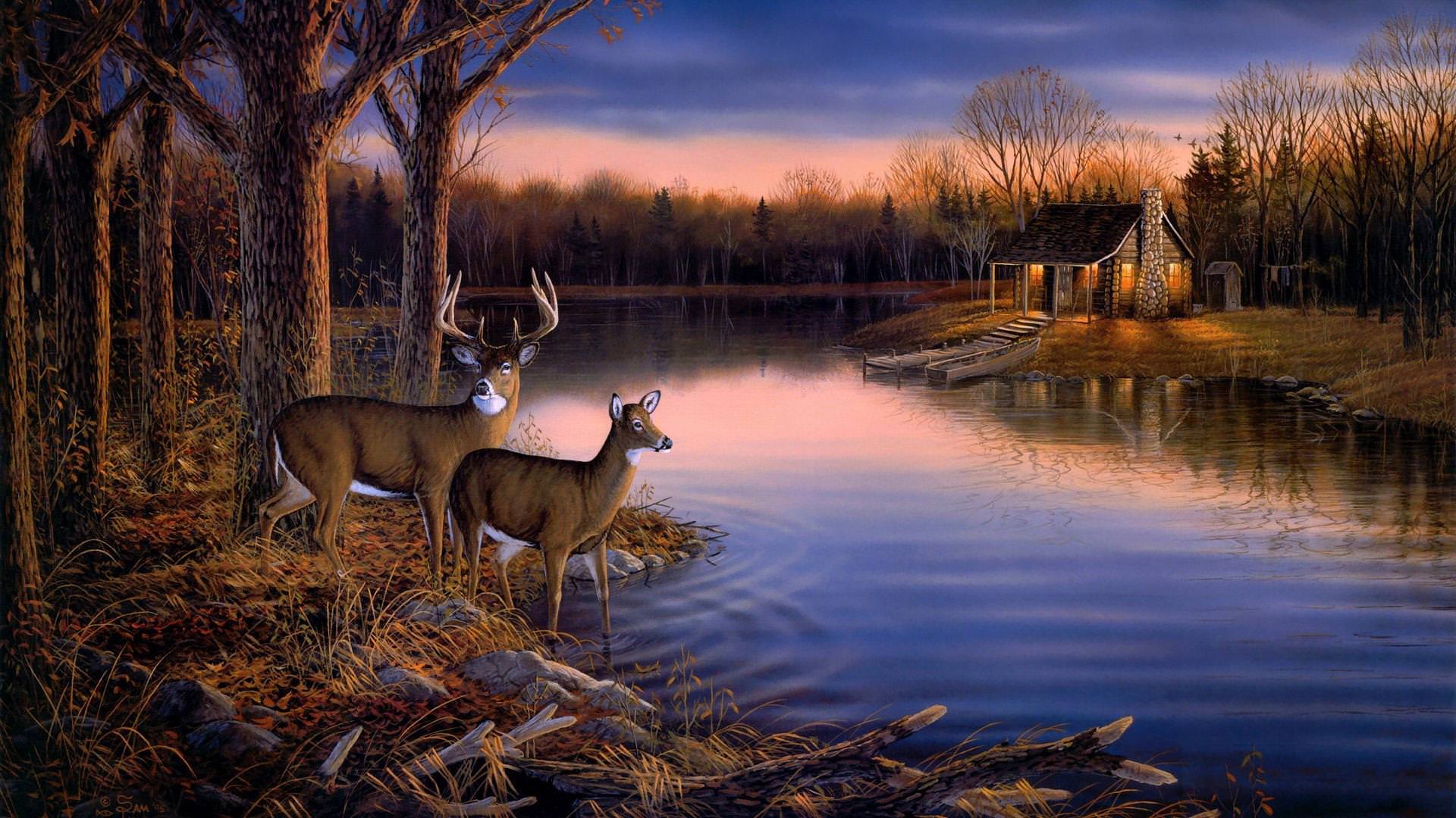 Deer Scene Wallpapers