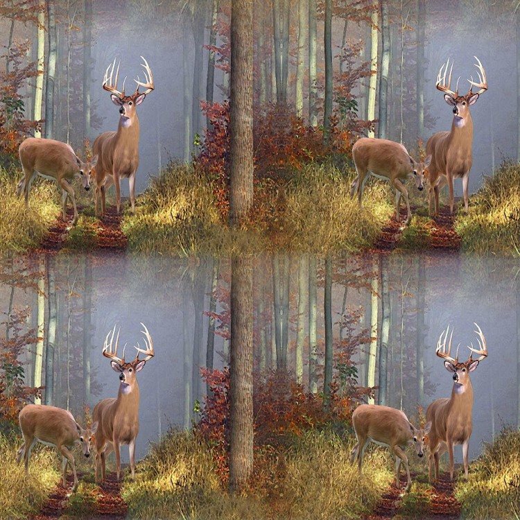 Deer Scene Wallpapers