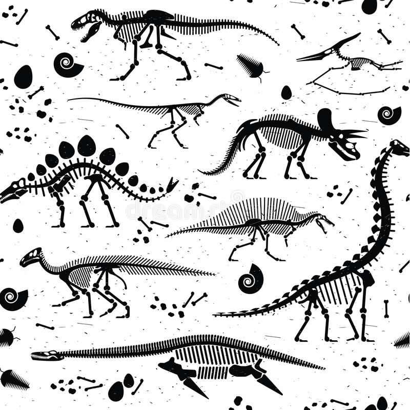 Dinosaur Fossil Wallpapers