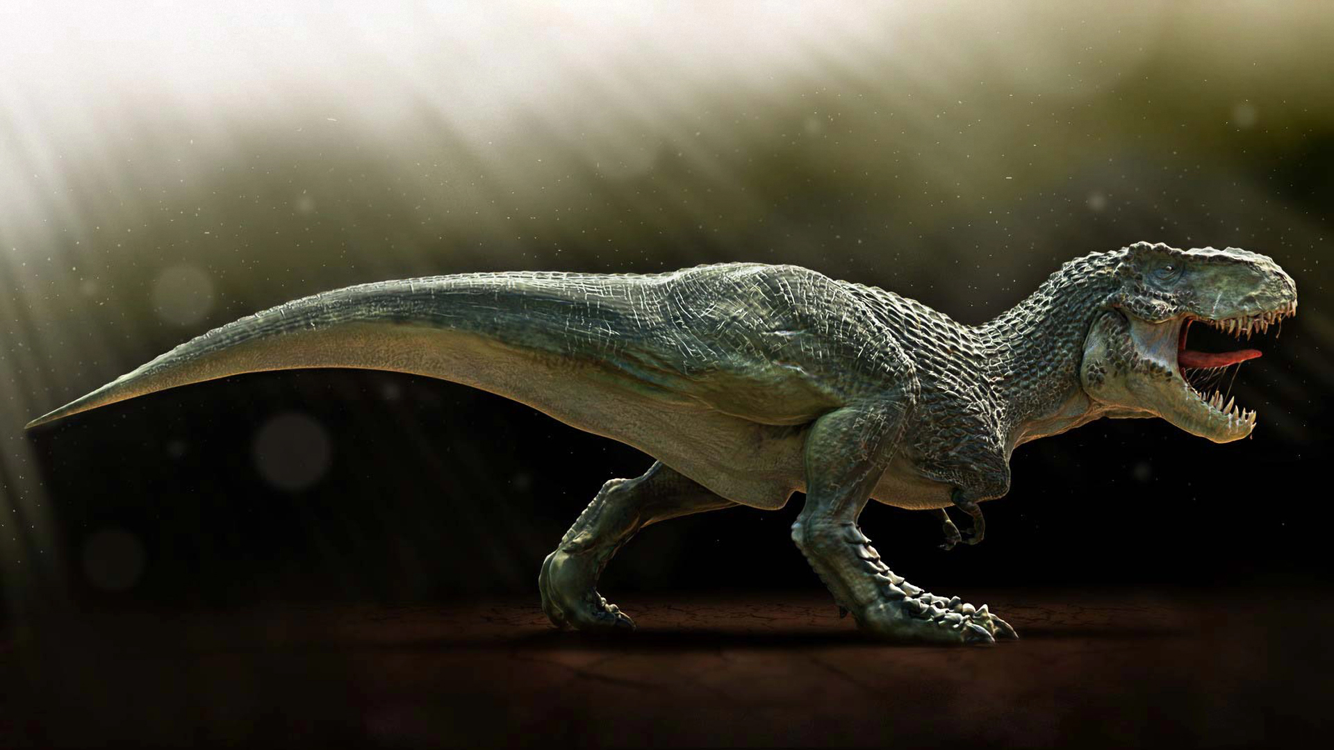 Dinosaur Hd Wallpapers