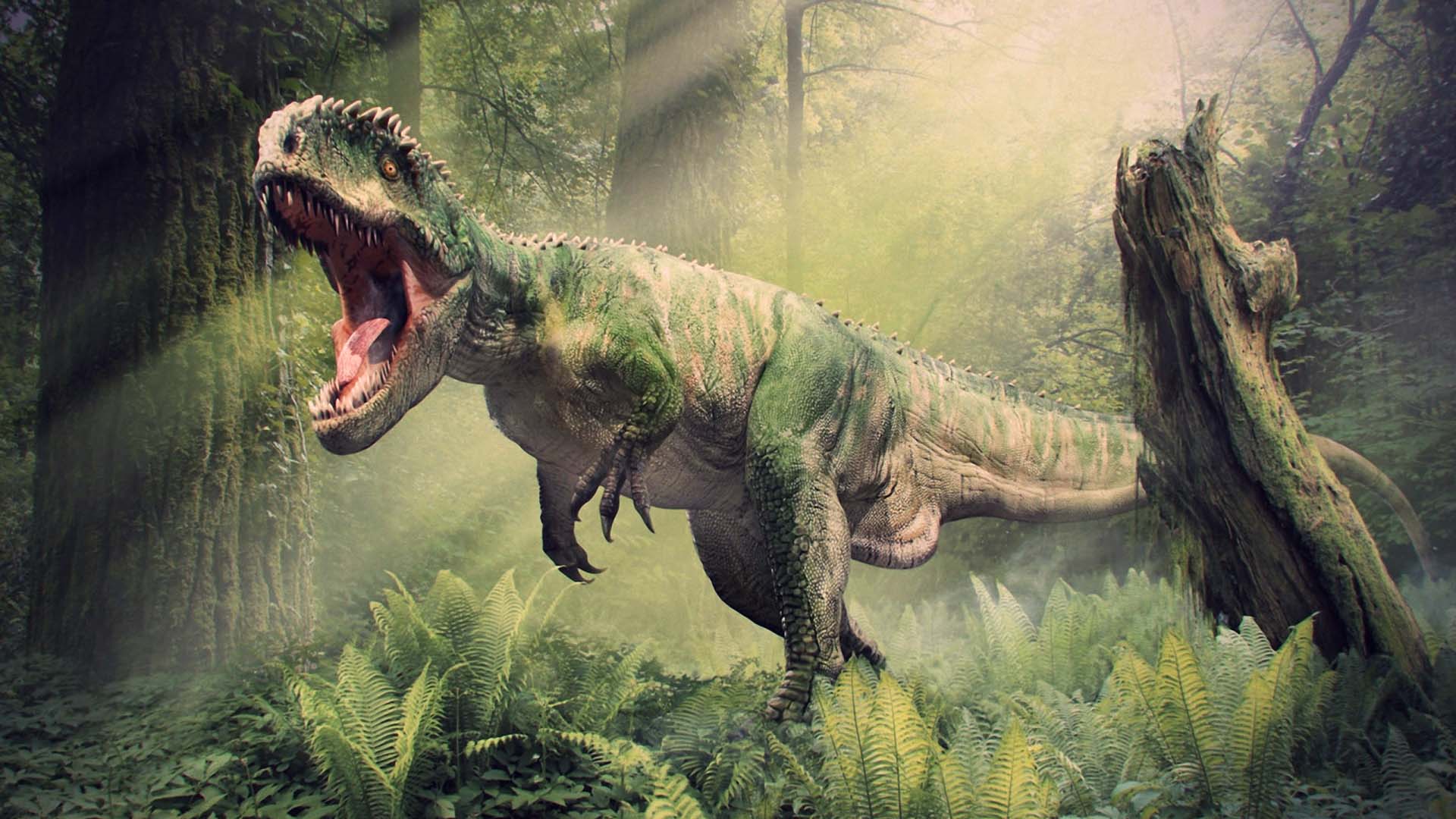 Dinosaur Hd Wallpapers